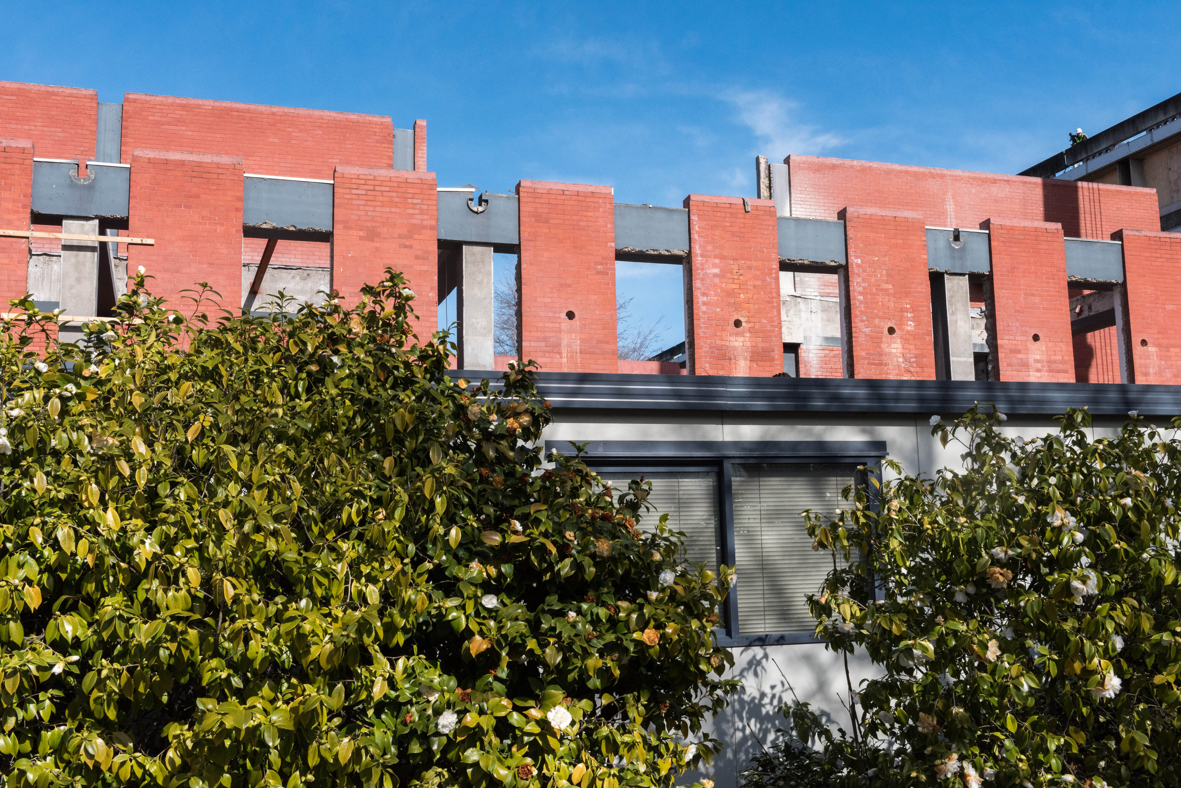 Hilgendorf Redevelopment 663