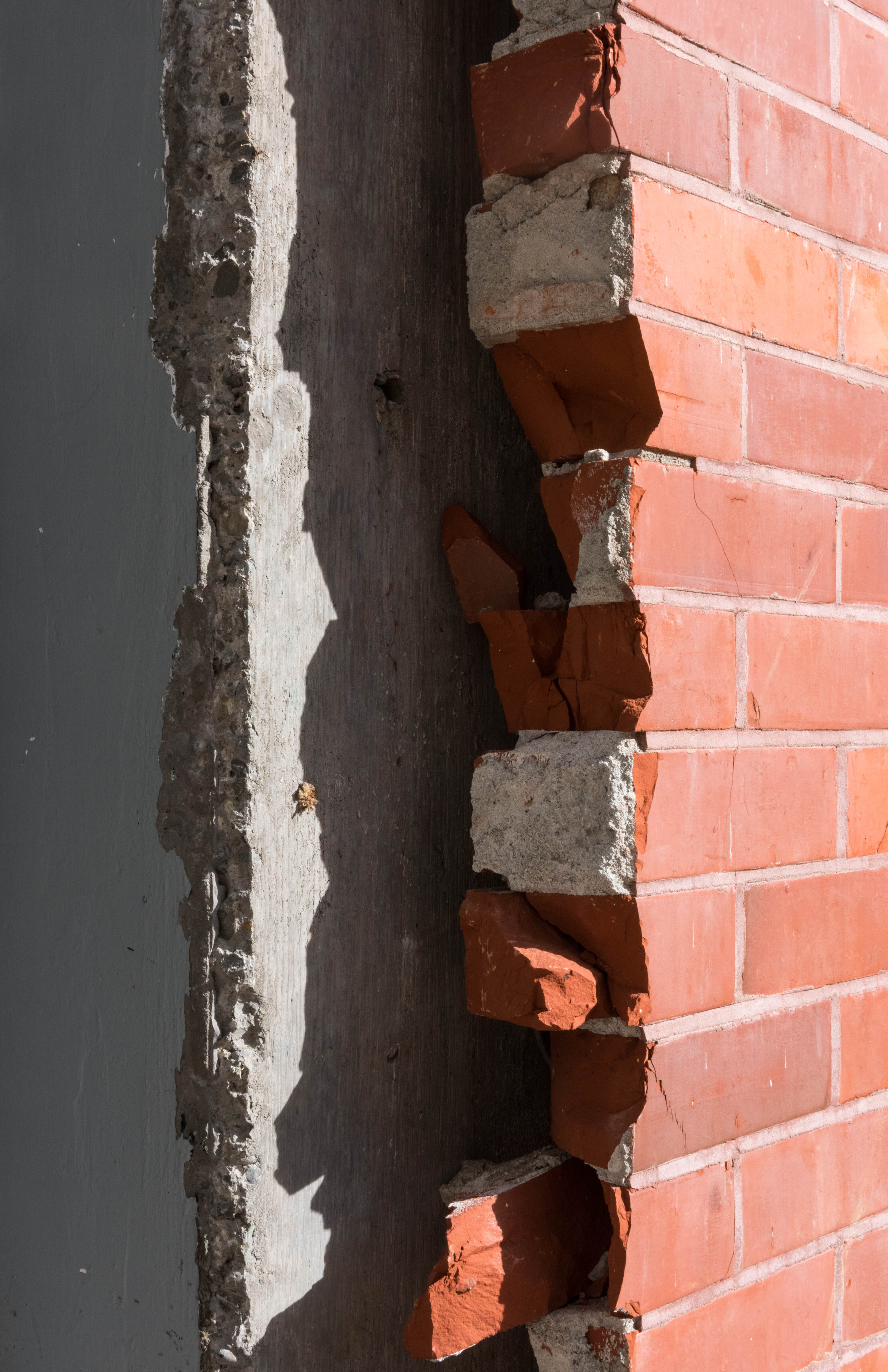 Hilgendorf Redevelopment 684