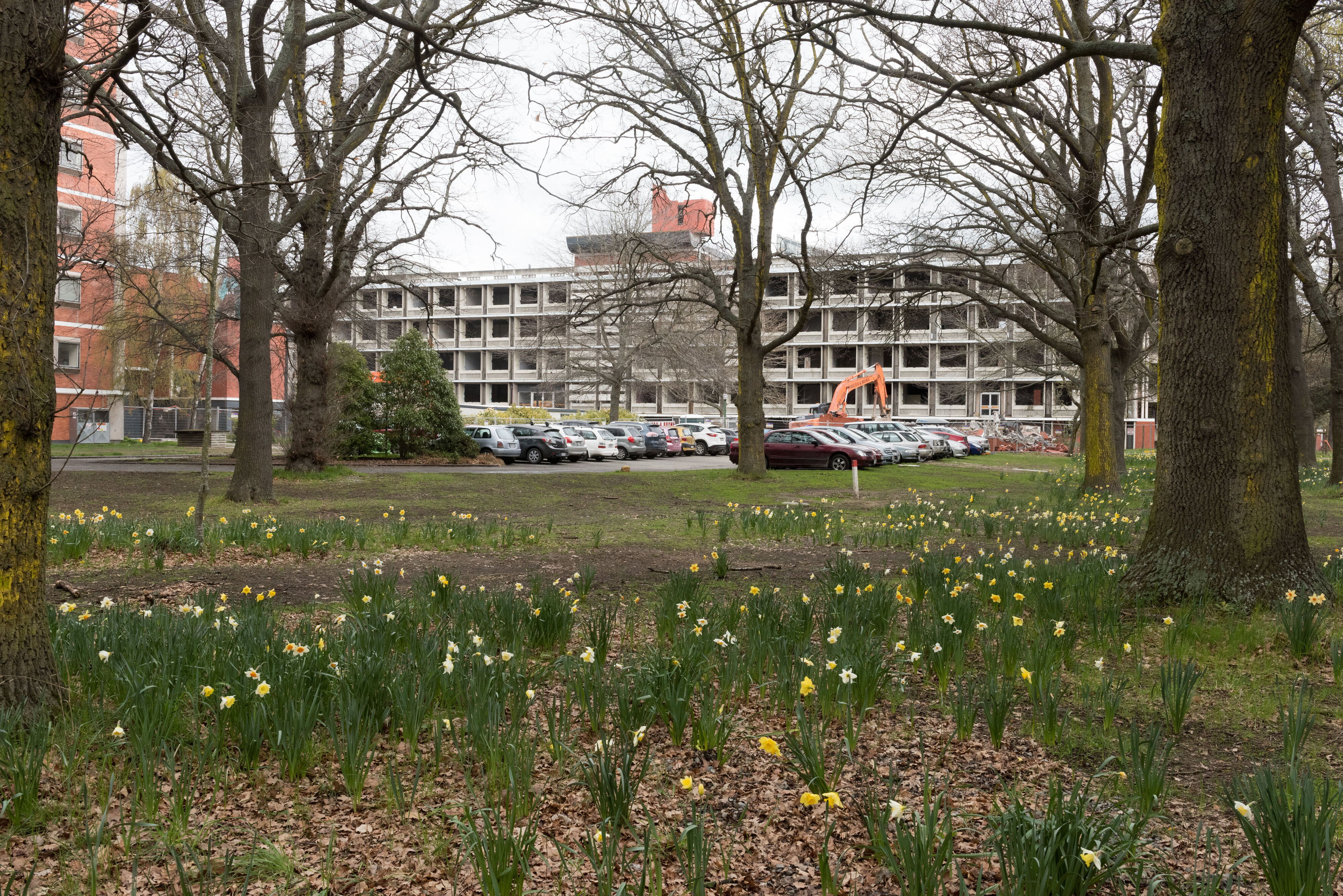 Hilgendorf Redevelopment 802