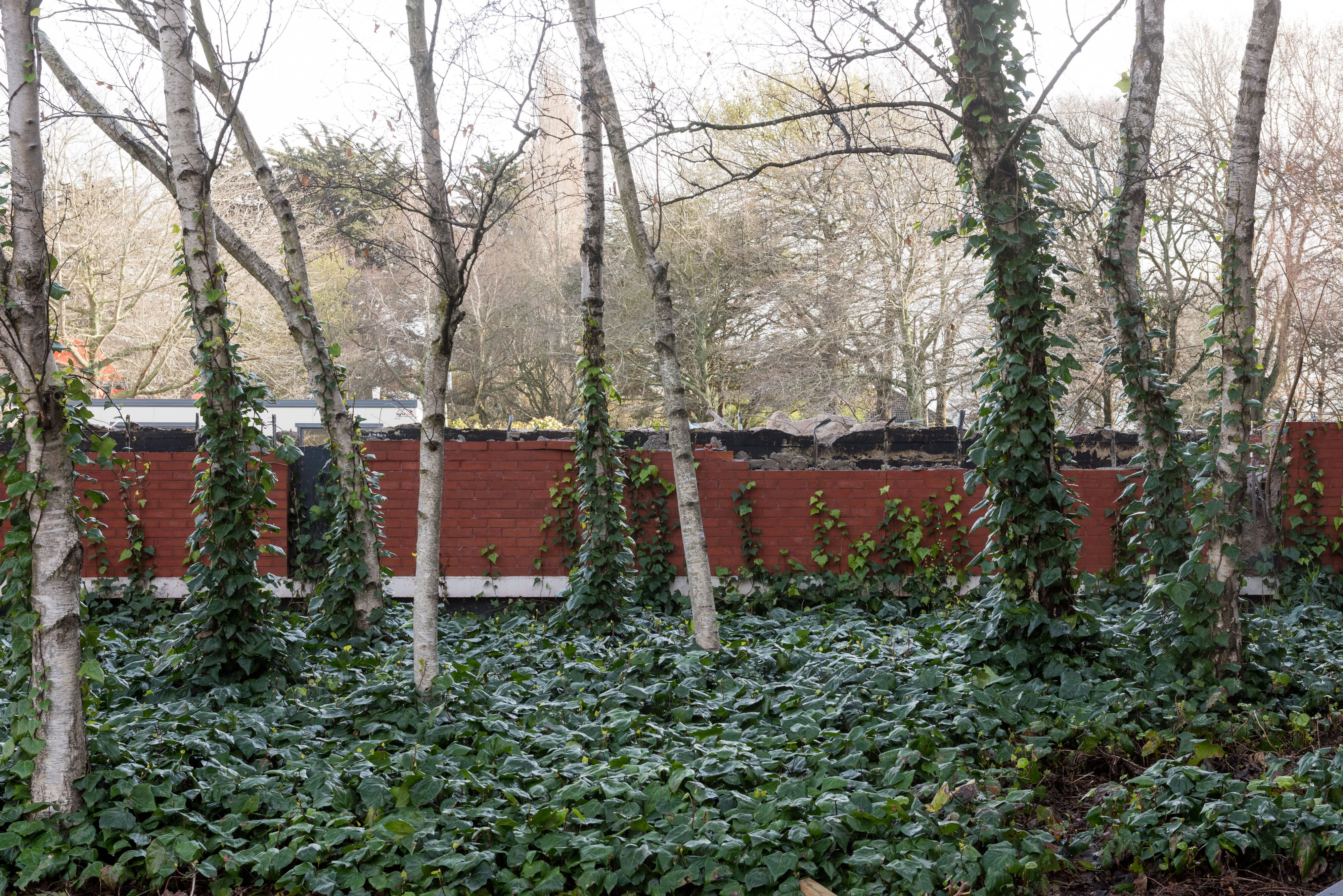 Hilgendorf Redevelopment 848