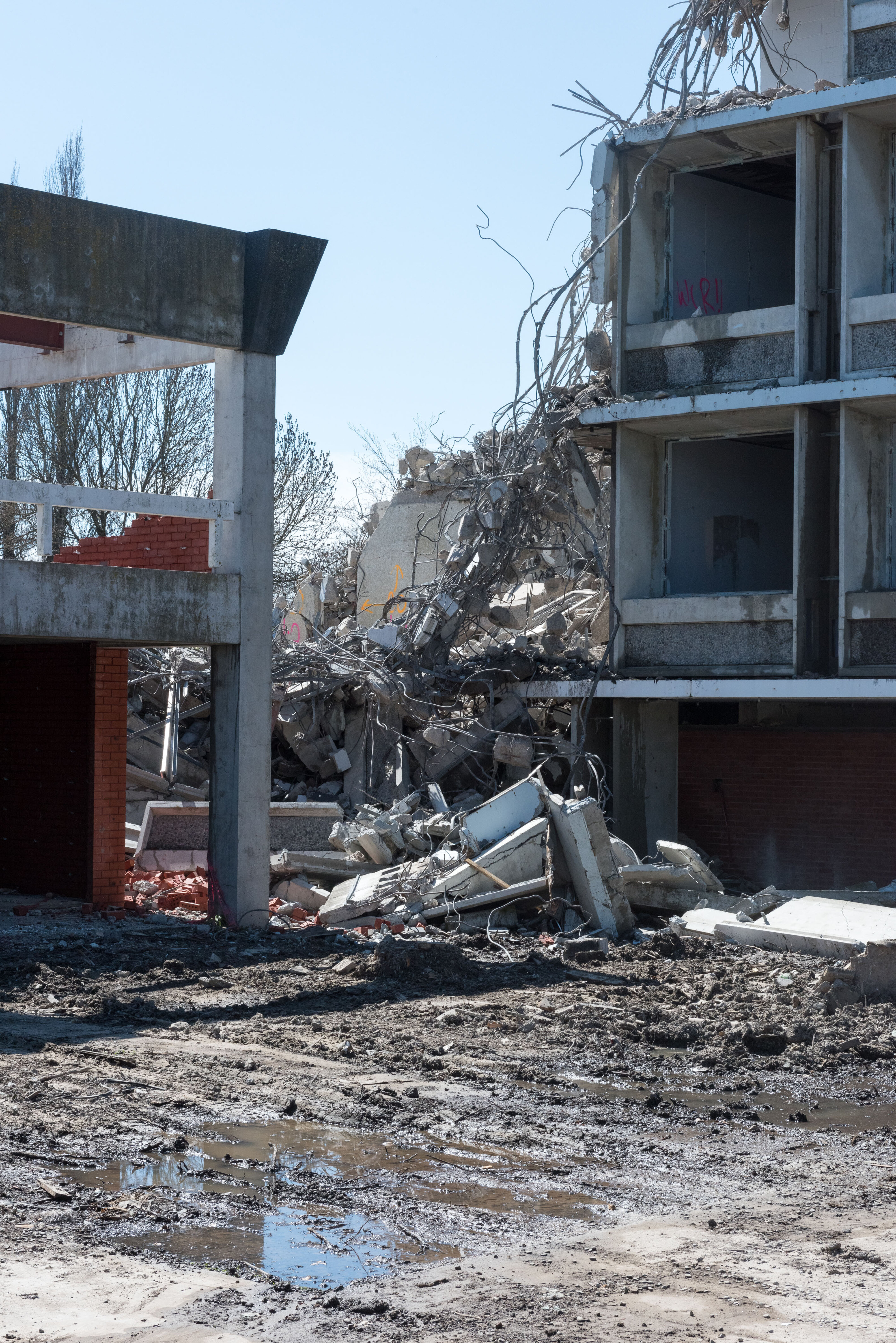 Hilgendorf Redevelopment 889