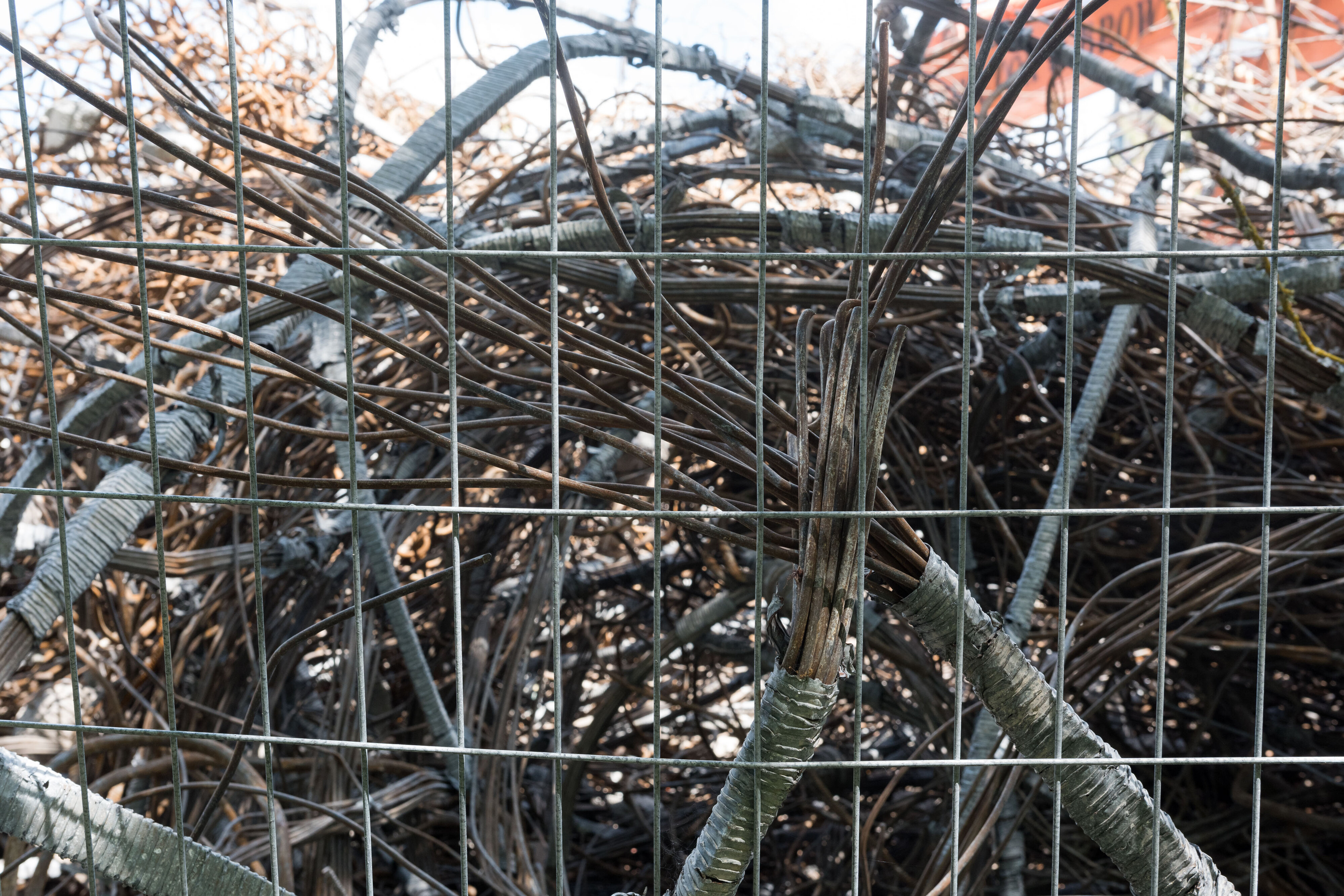 Hilgendorf Redevelopment 1069