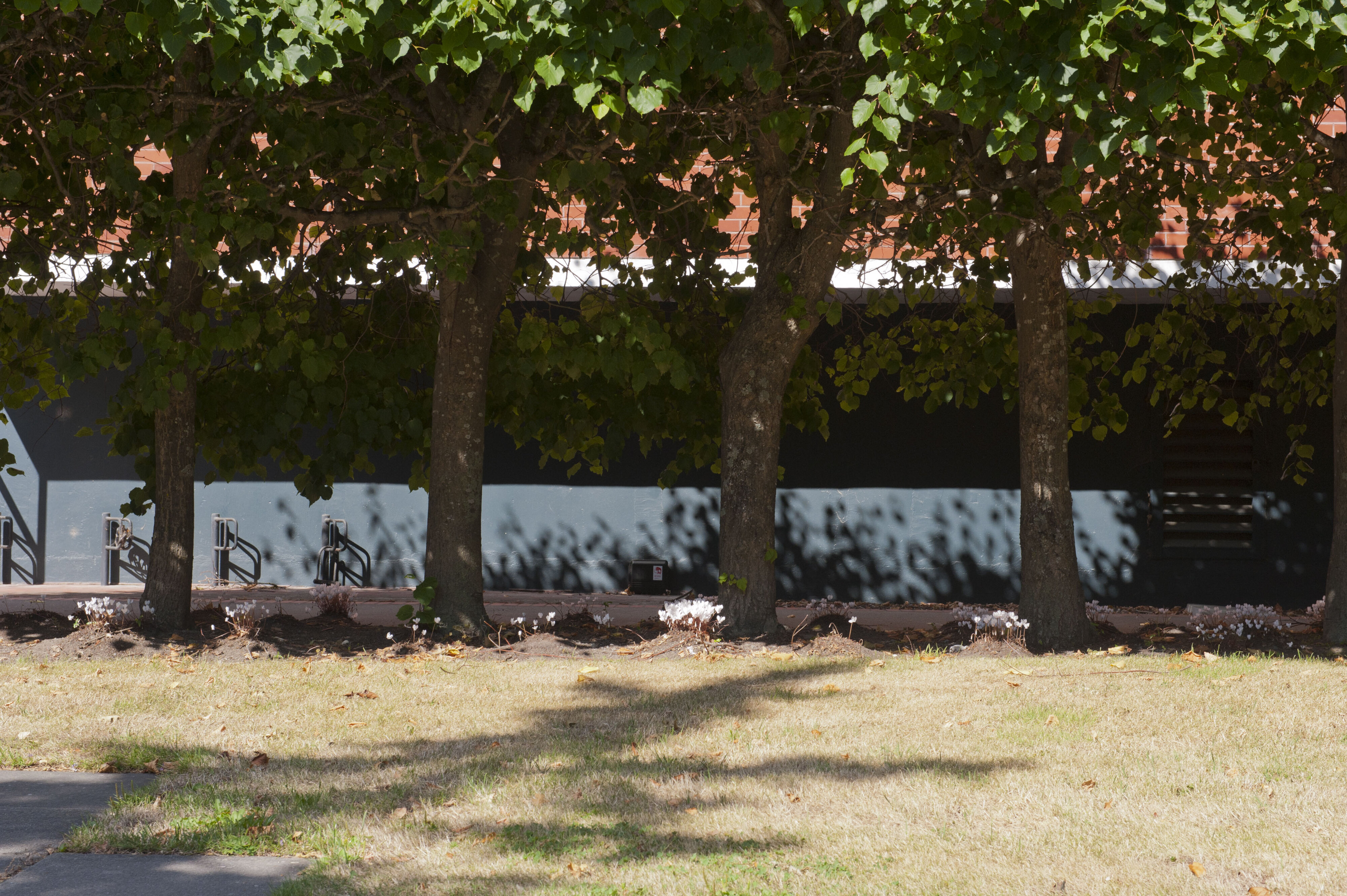 Hilgendorf Environs 1