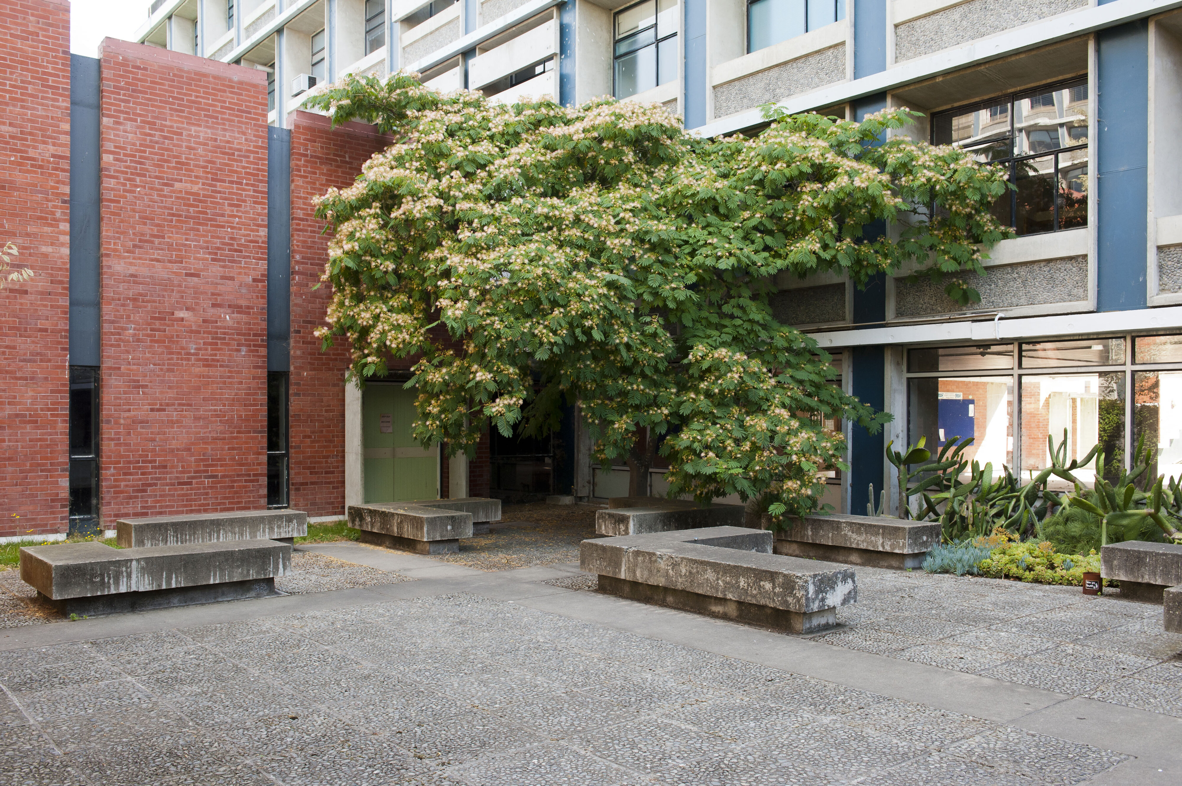 Hilgendorf Environs 8