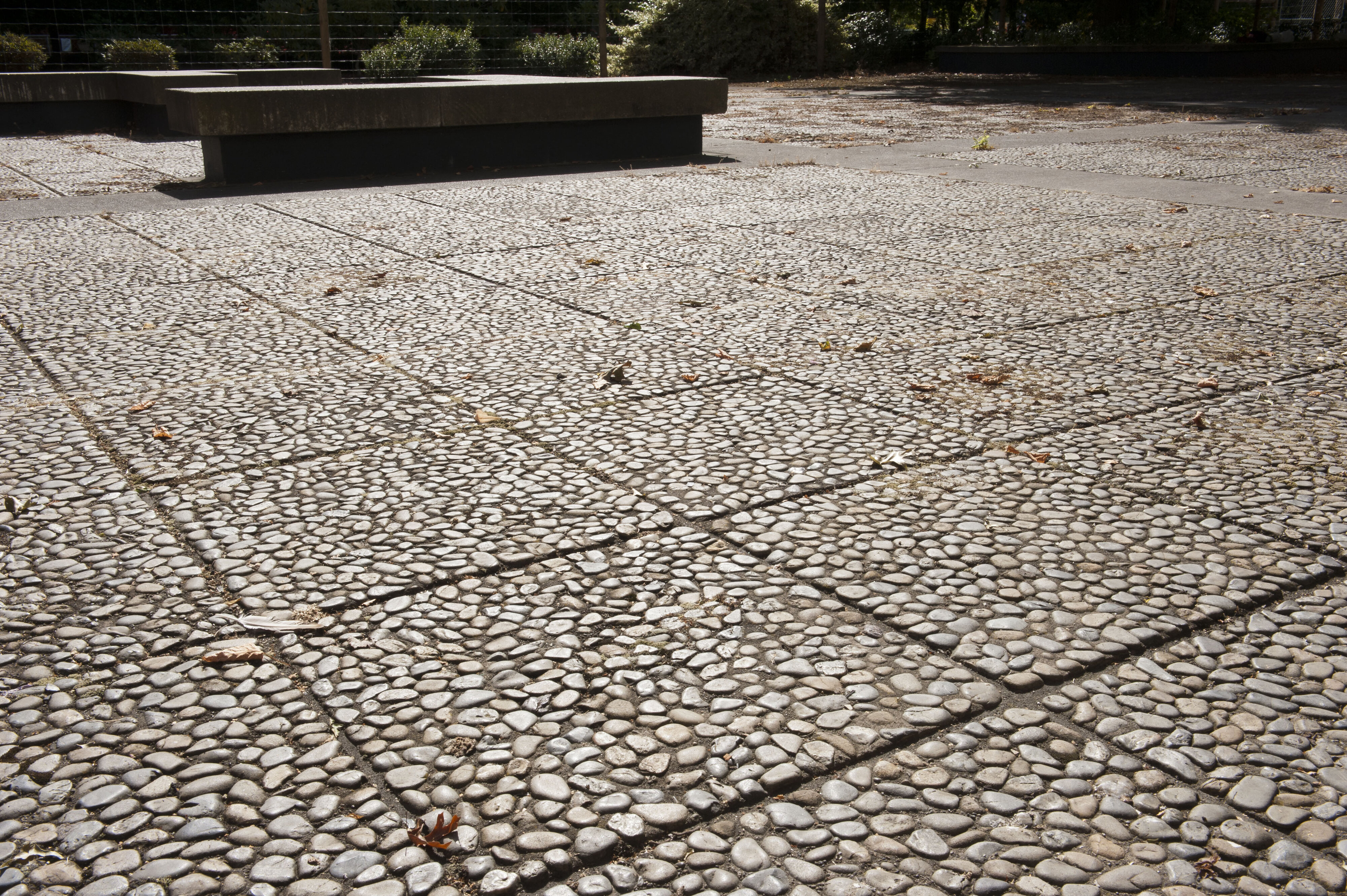 Hilgendorf Environs 13