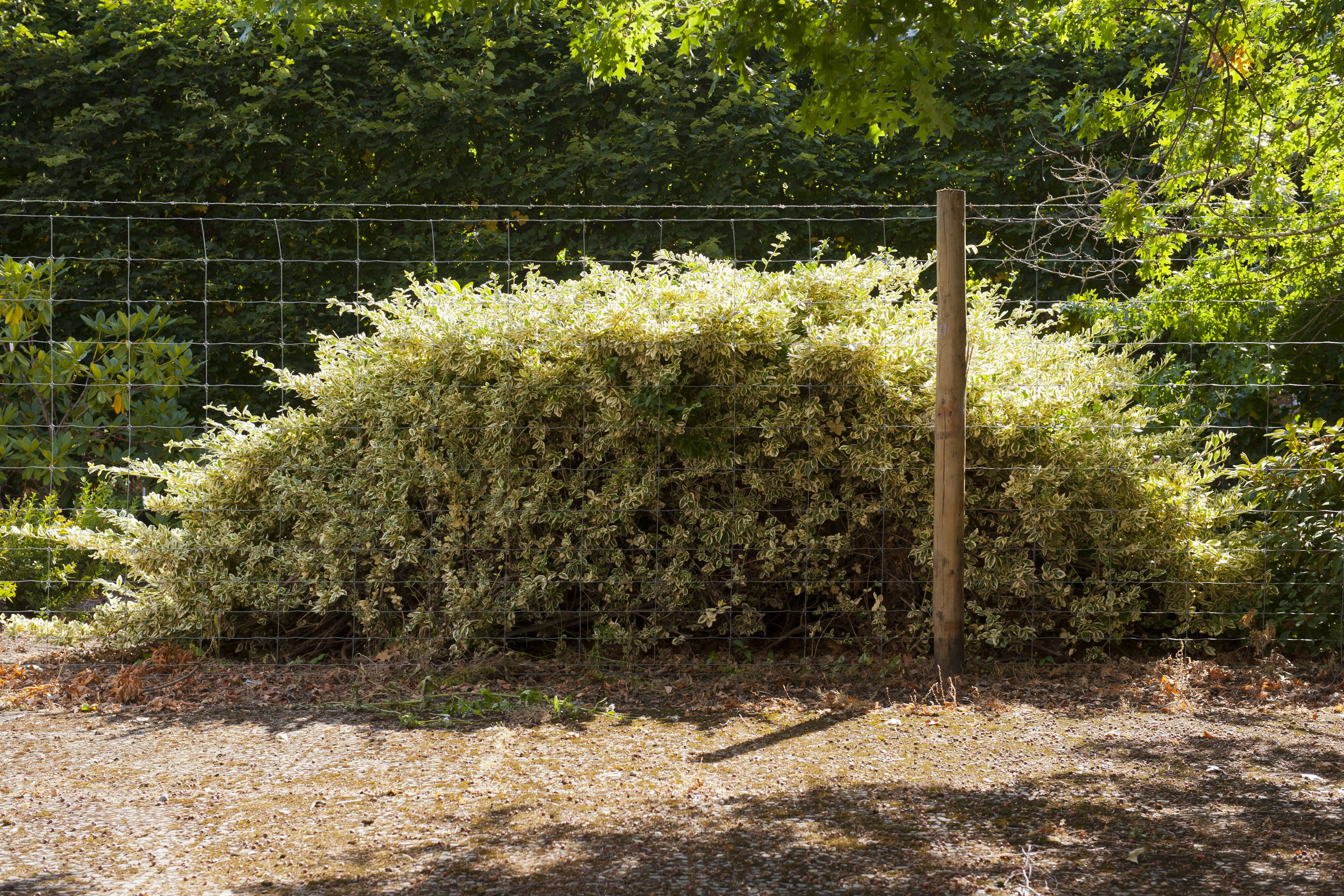 Hilgendorf Environs 16