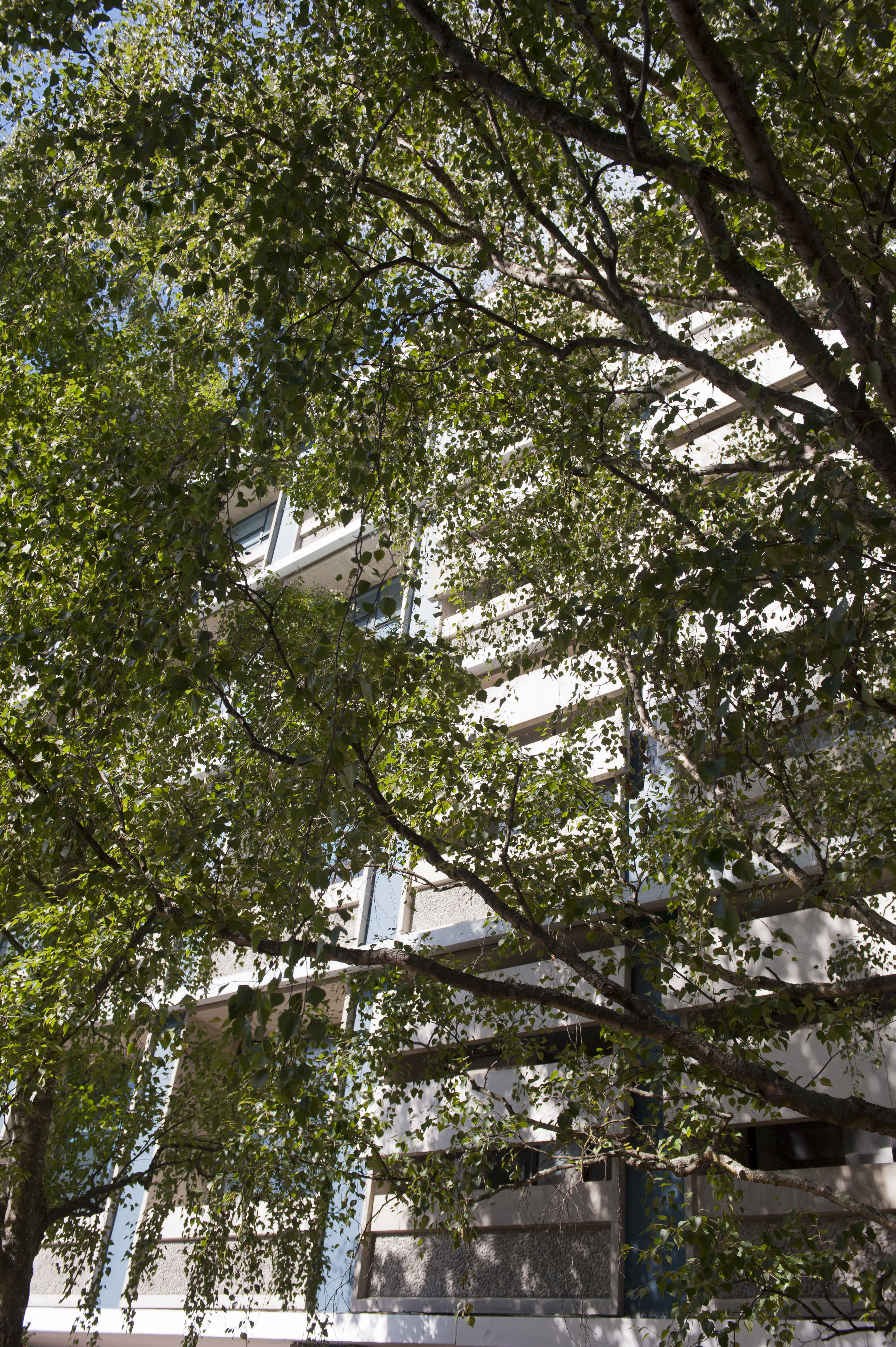 Hilgendorf Environs 18