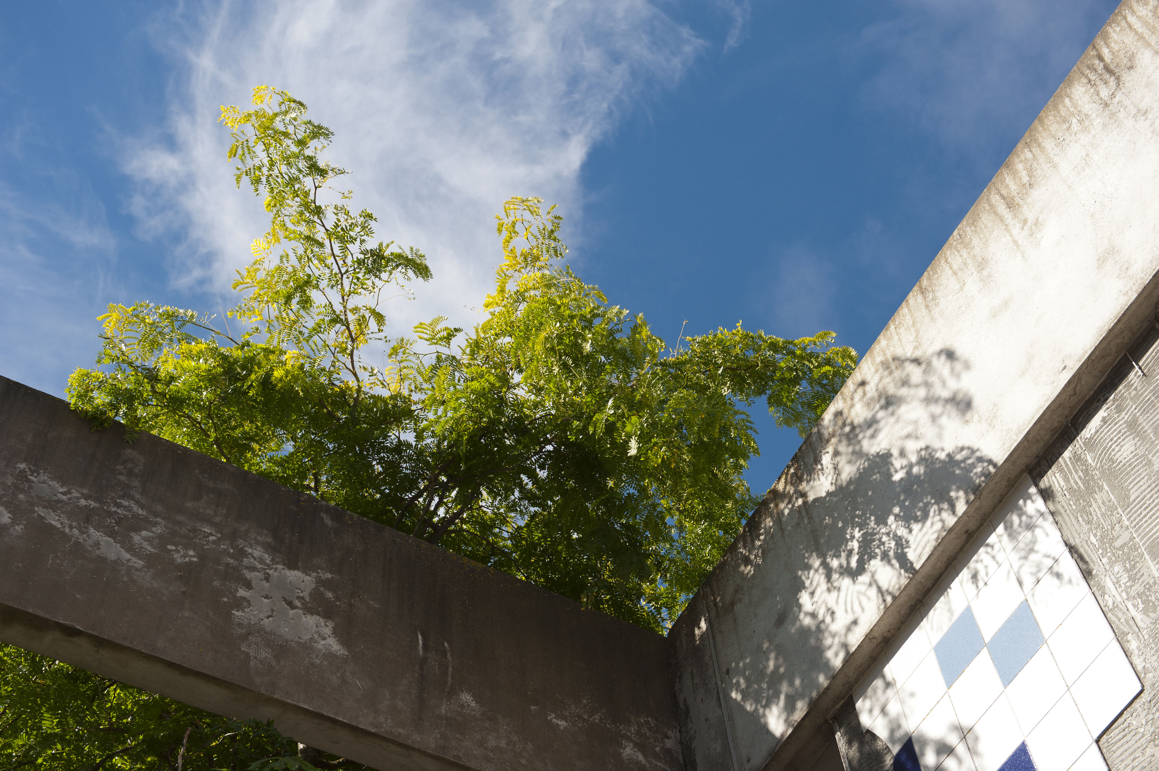 Hilgendorf Environs 25