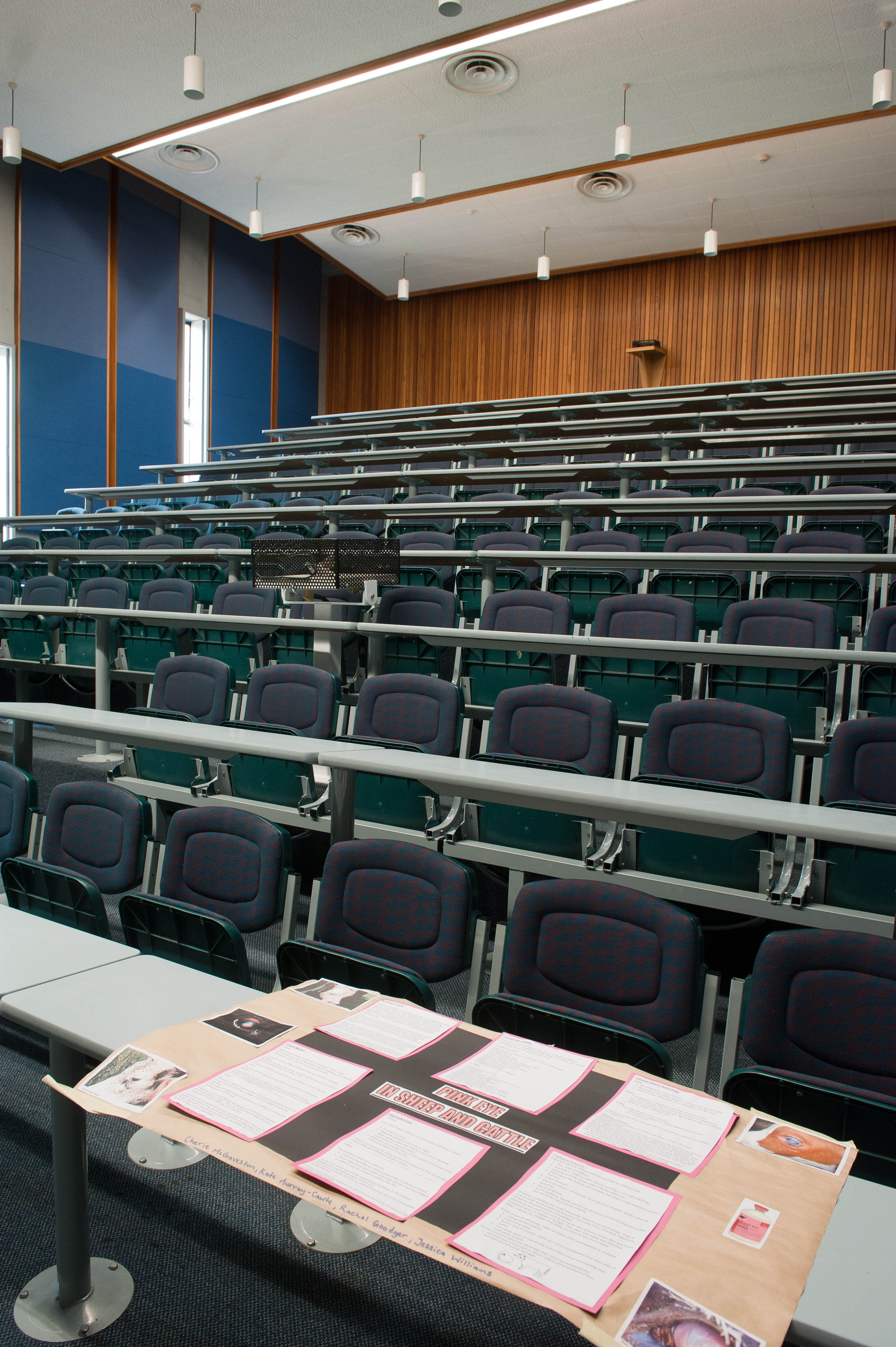 Hilgendorf Redevelopment 1213