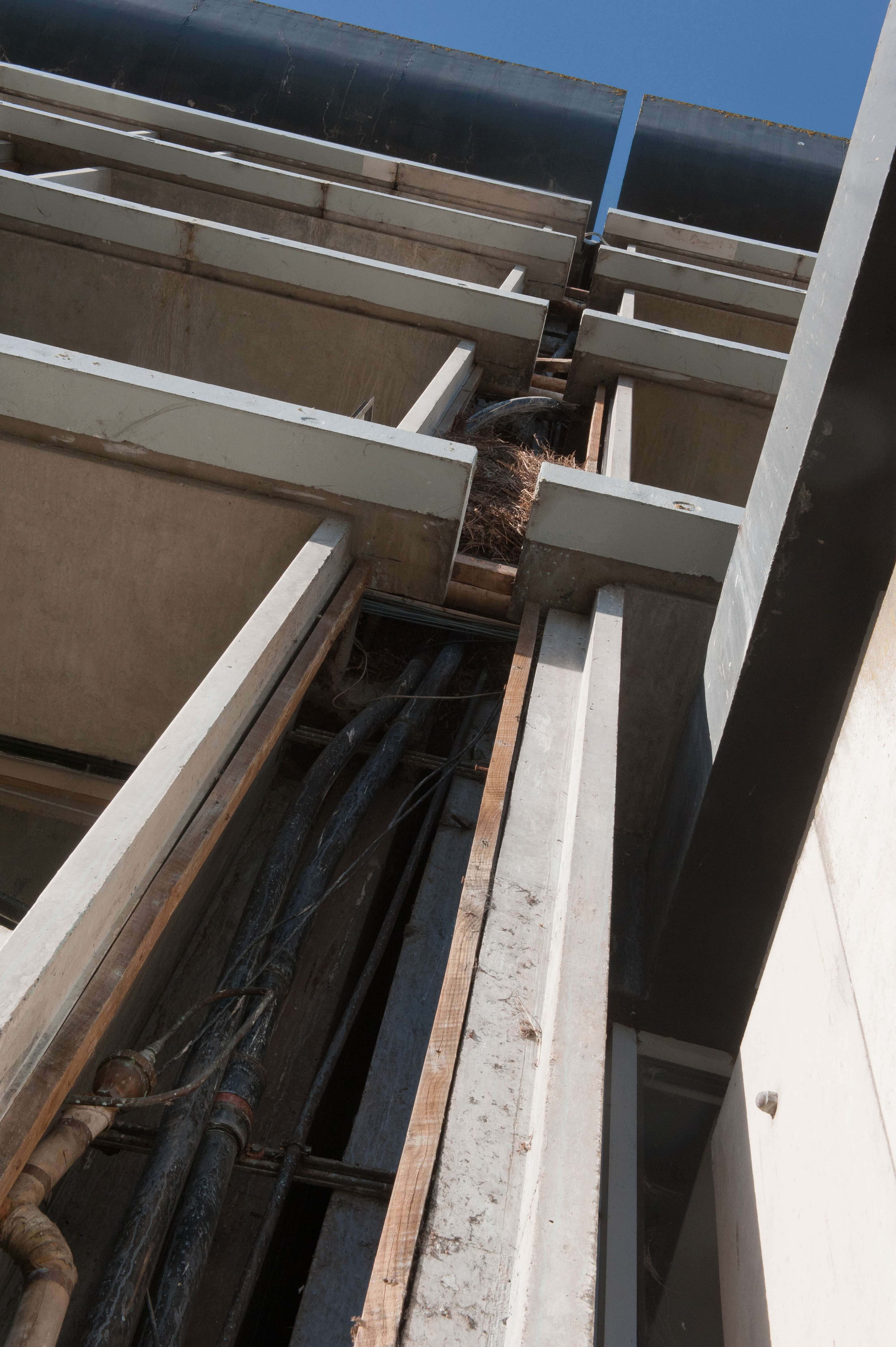 Hilgendorf Redevelopment 1351