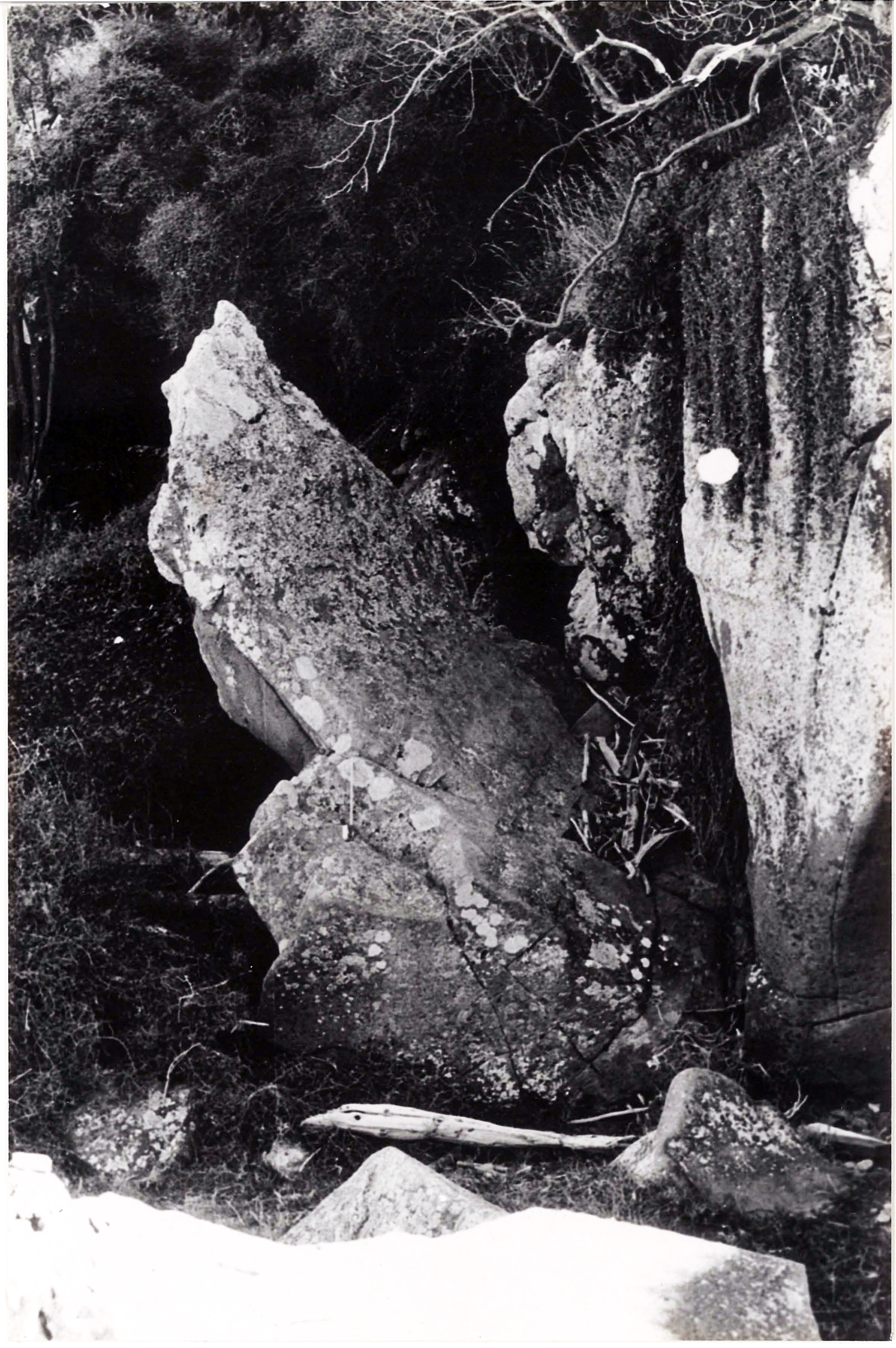 Historical Photographs