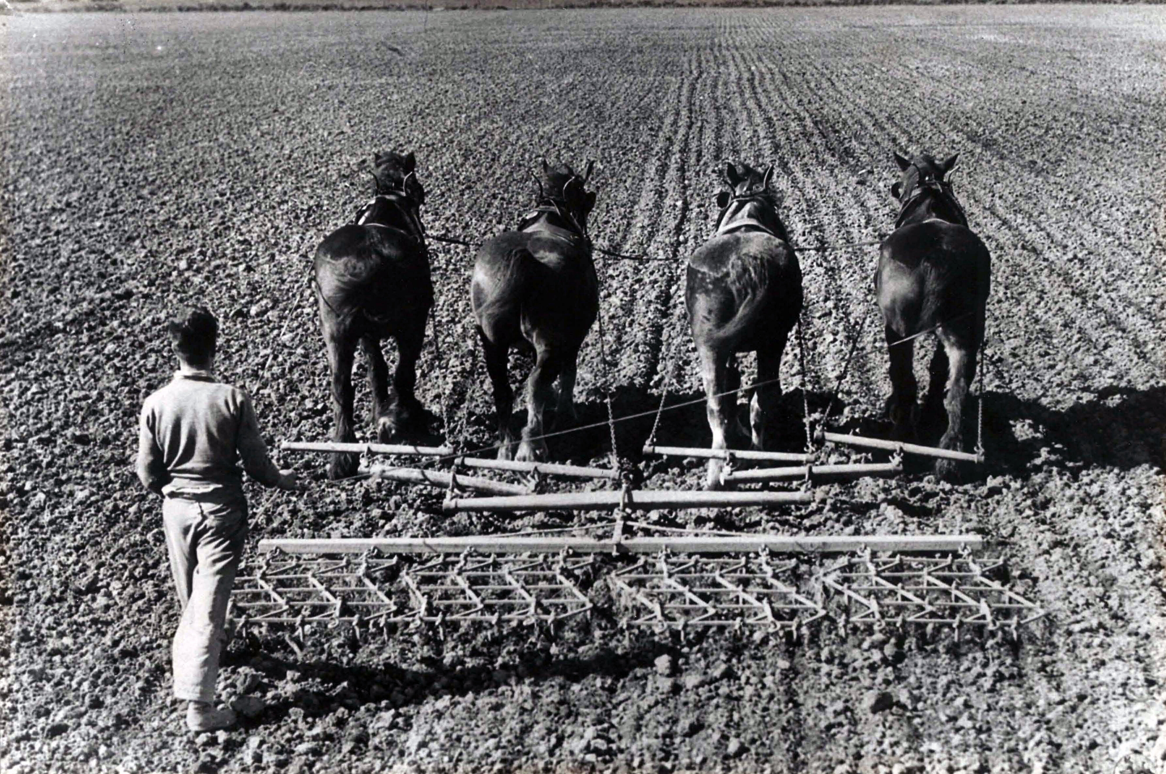 Not Described - Historical Photographs