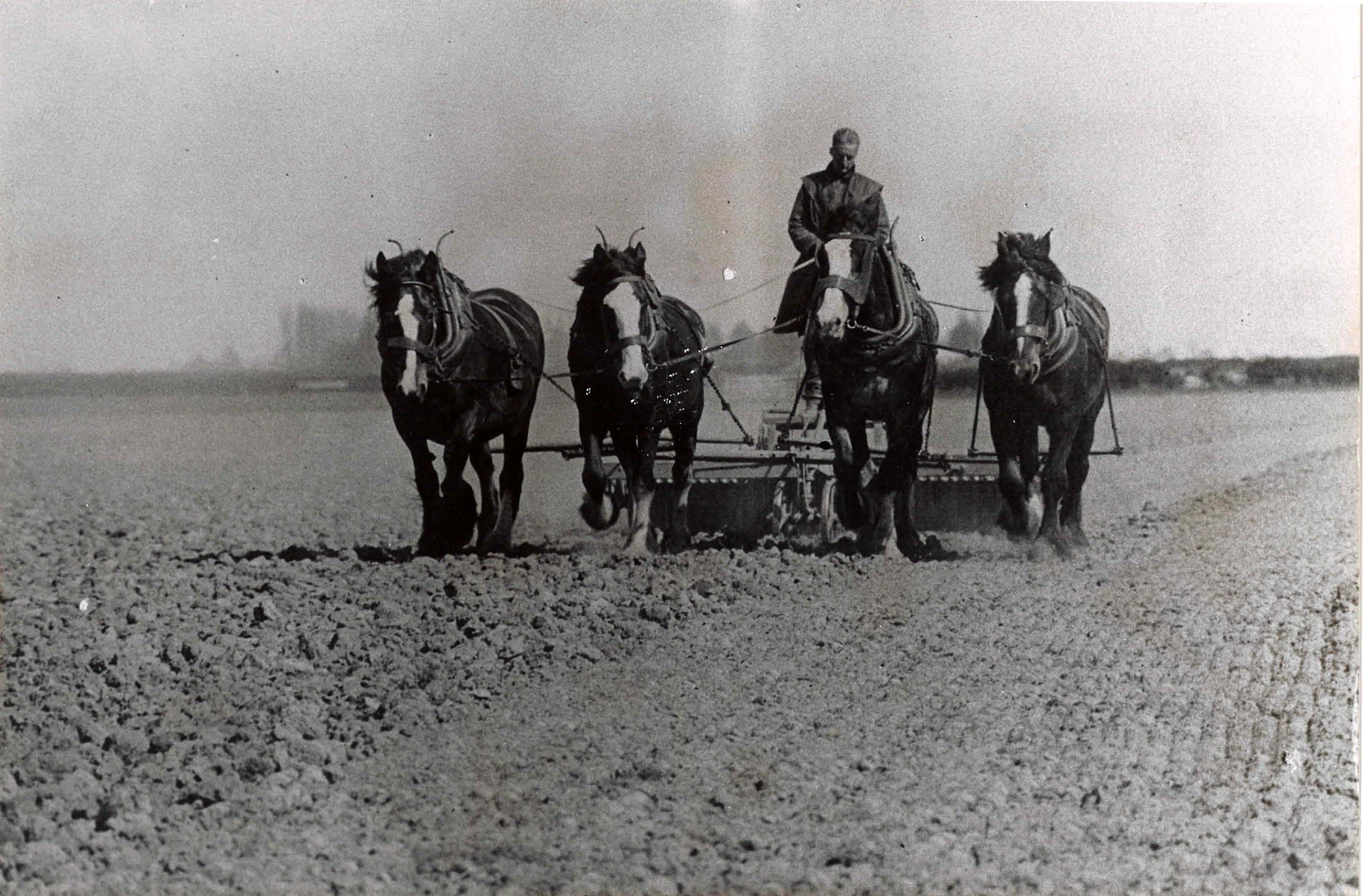 Not Described -  Historical Photographs