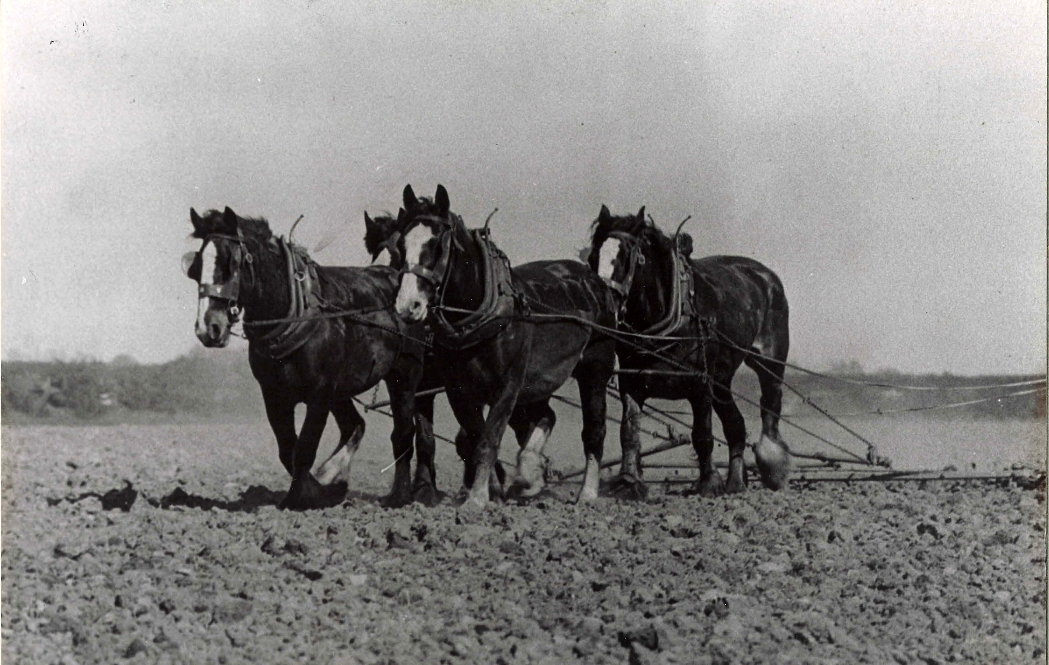 Not Described - Historical Photographs