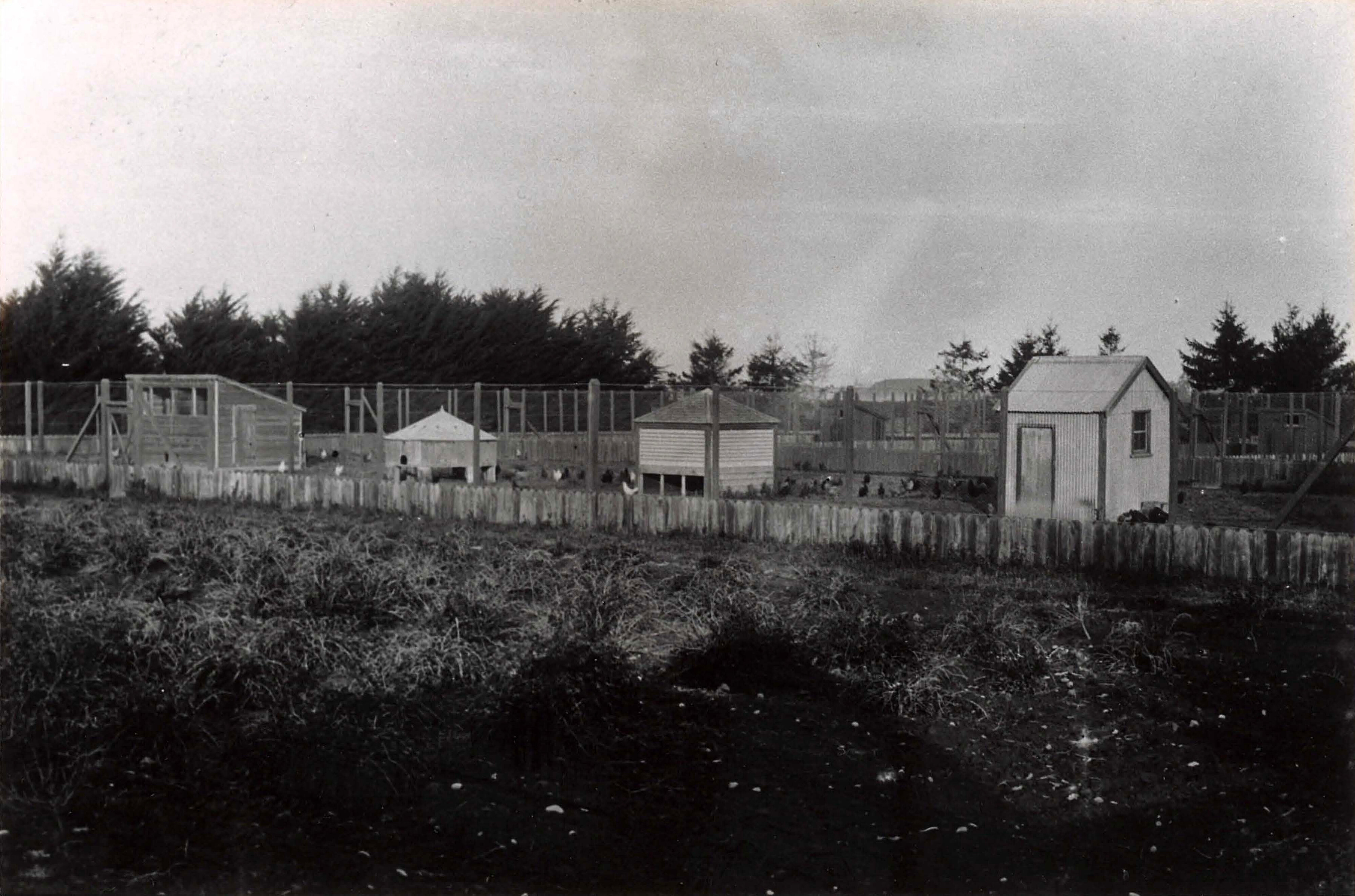 Not Described - Historical Photographs