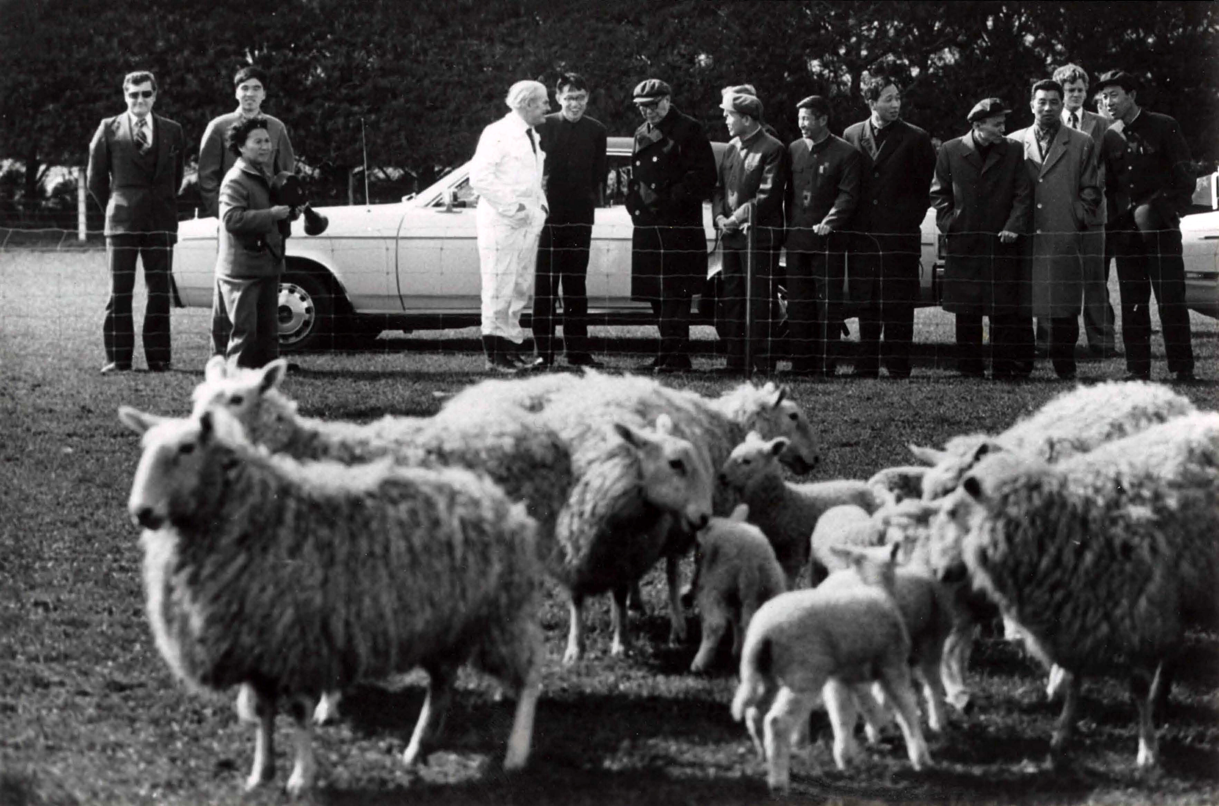 Not Described - Historical Photographs