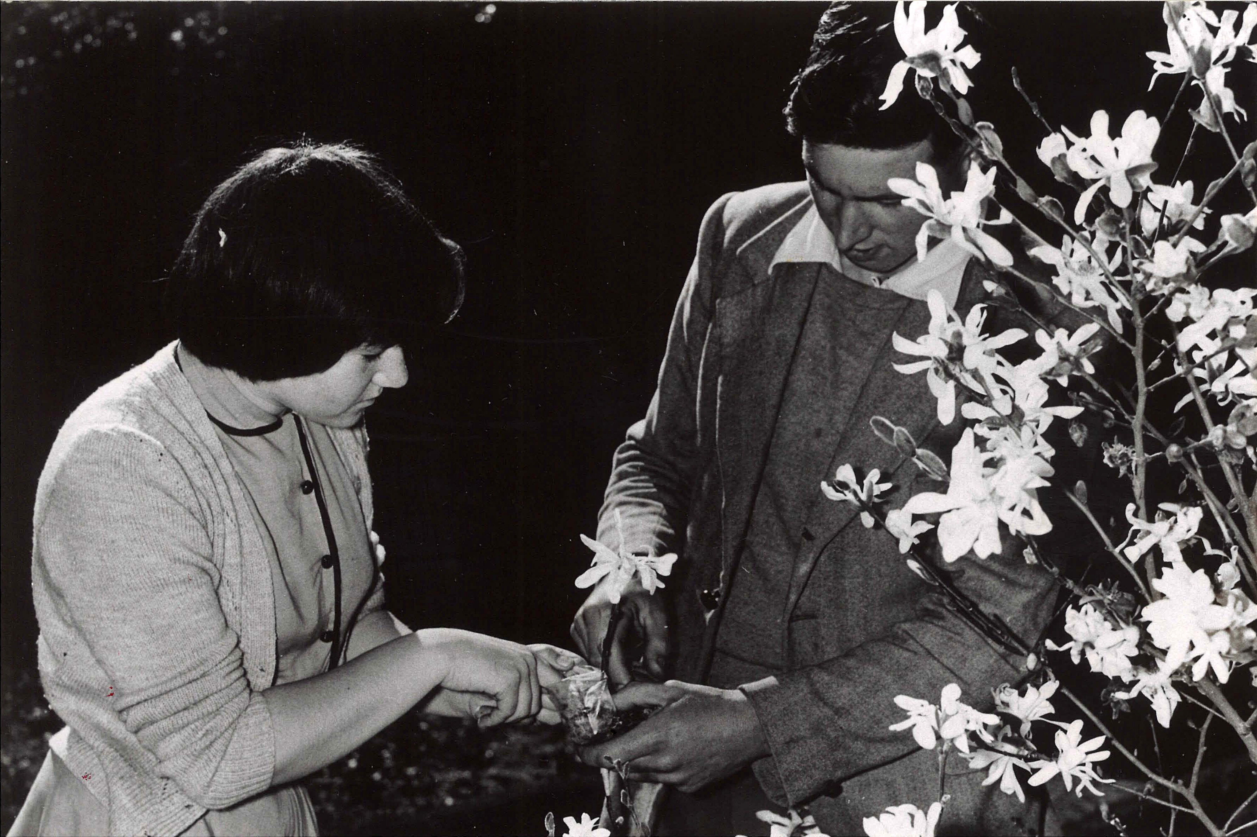 Historical Photographs