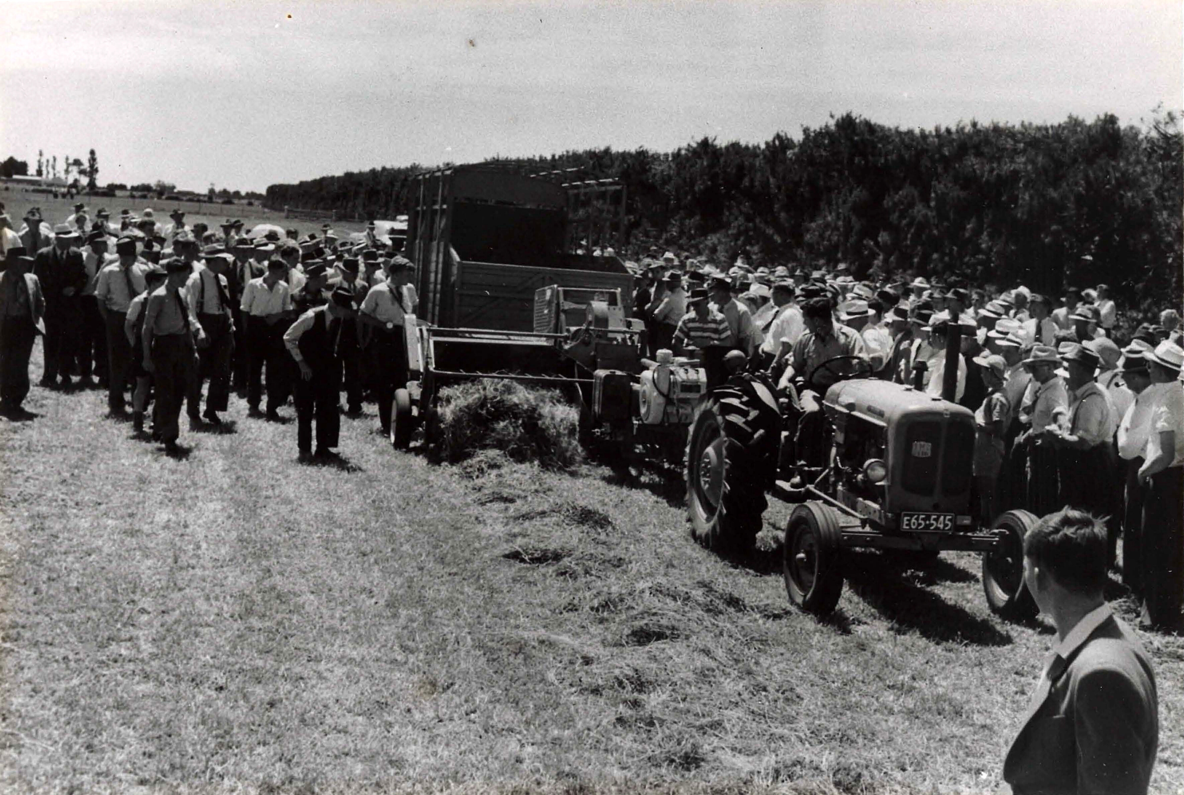 Historical Photographs