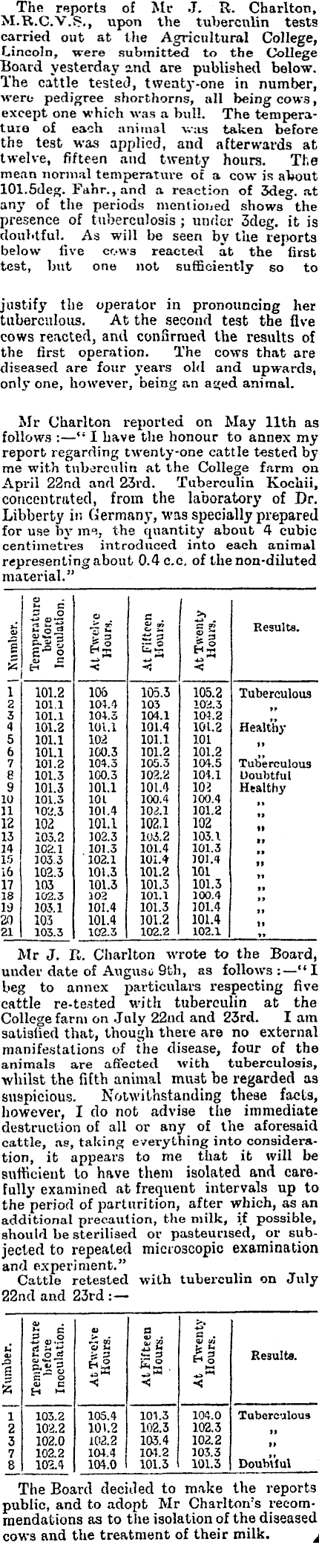 1897 The Tuberculin Test. Cattle at Lincoln College