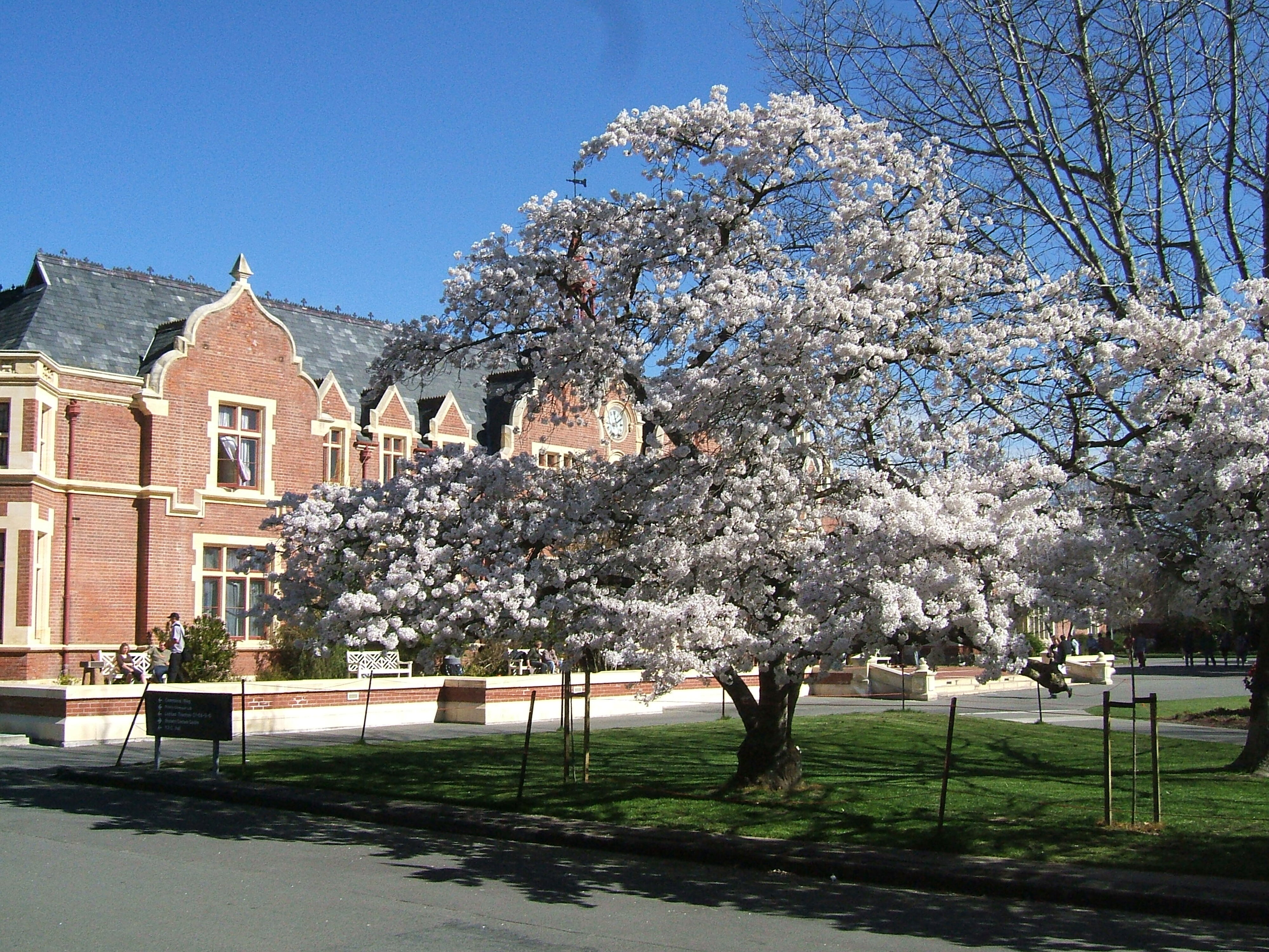 2006 Ivey Hall 1