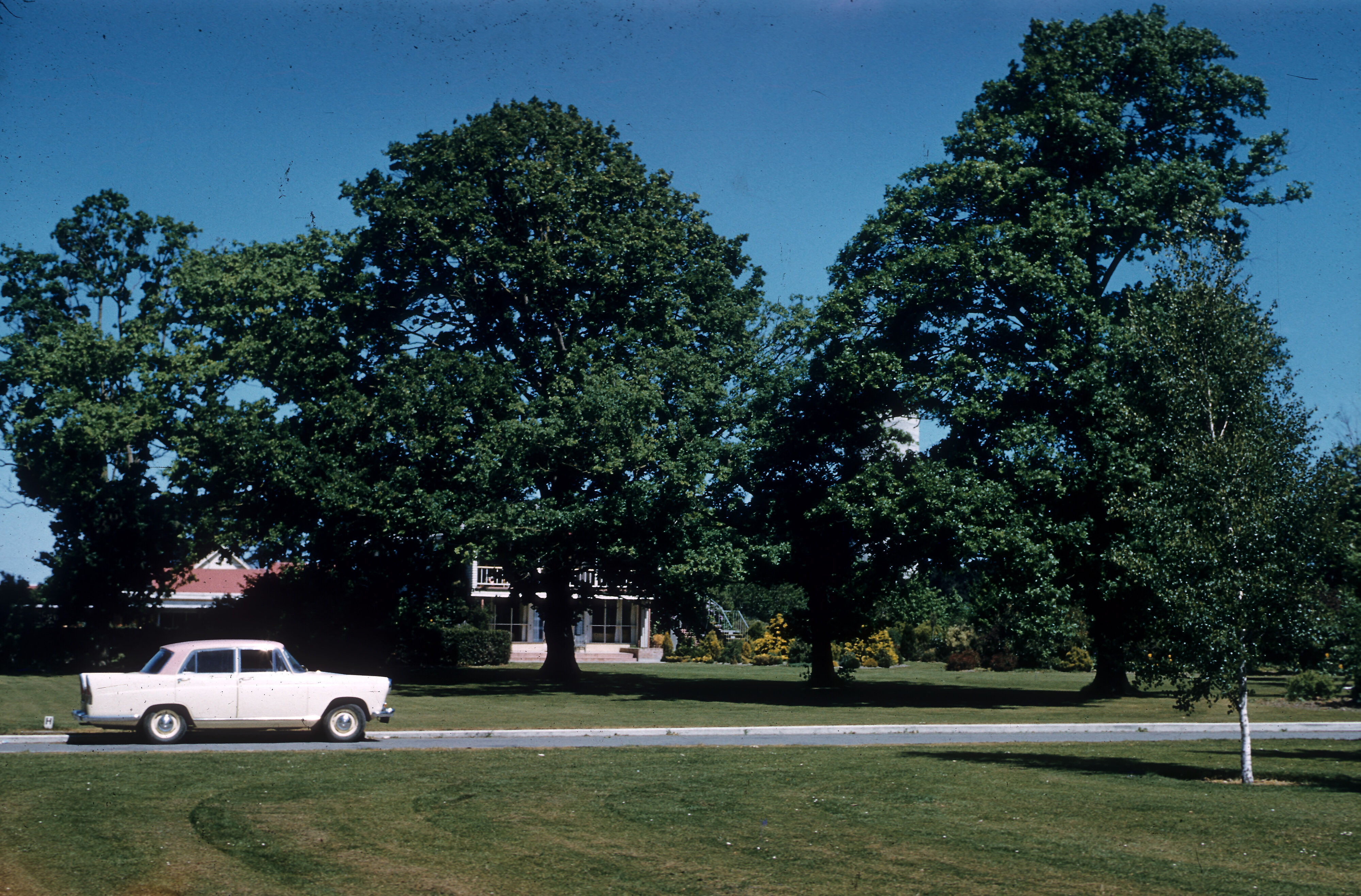 Matron's Block beyond the trees, October 1961