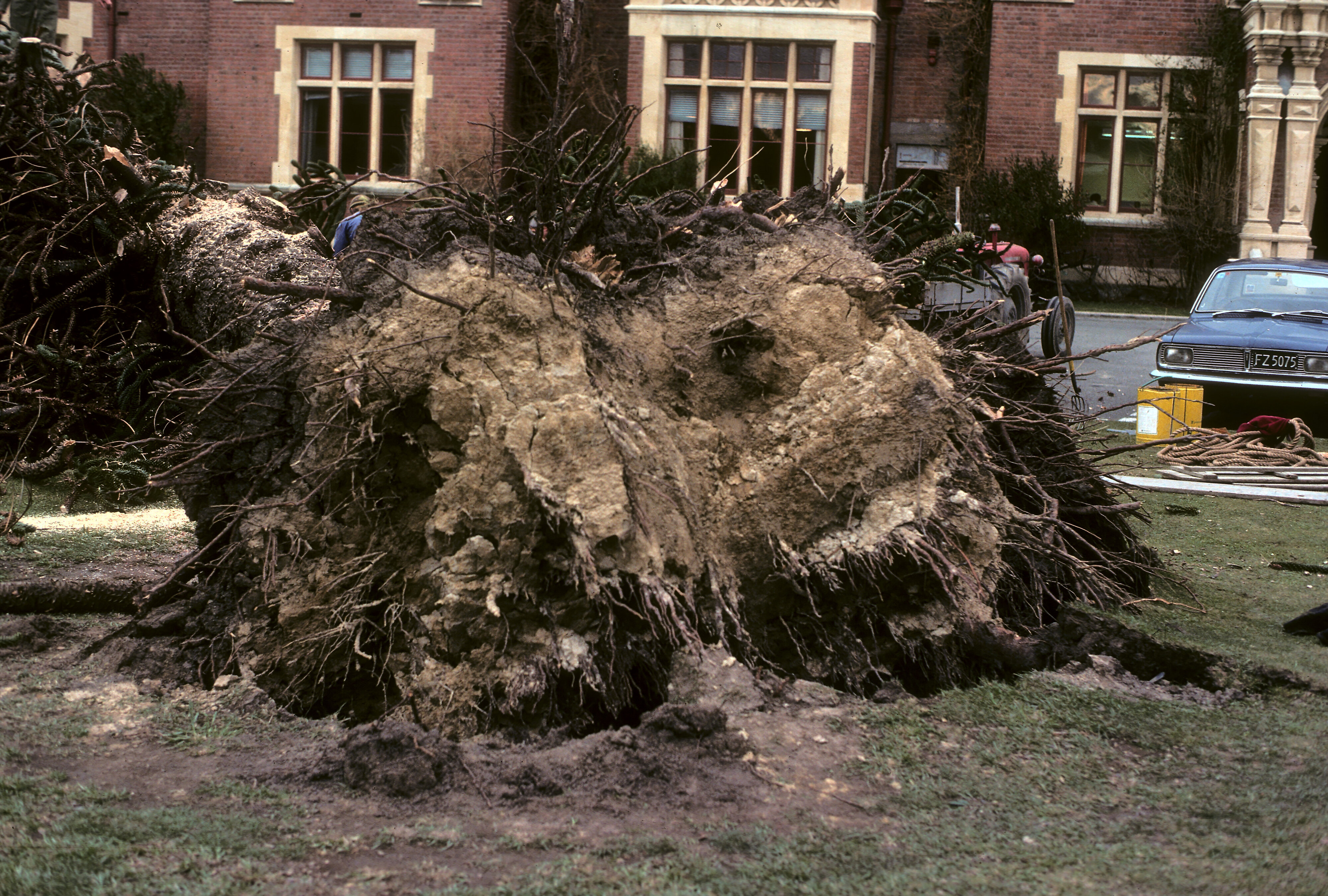 Storm damage outside Ivey Hall, August 1975