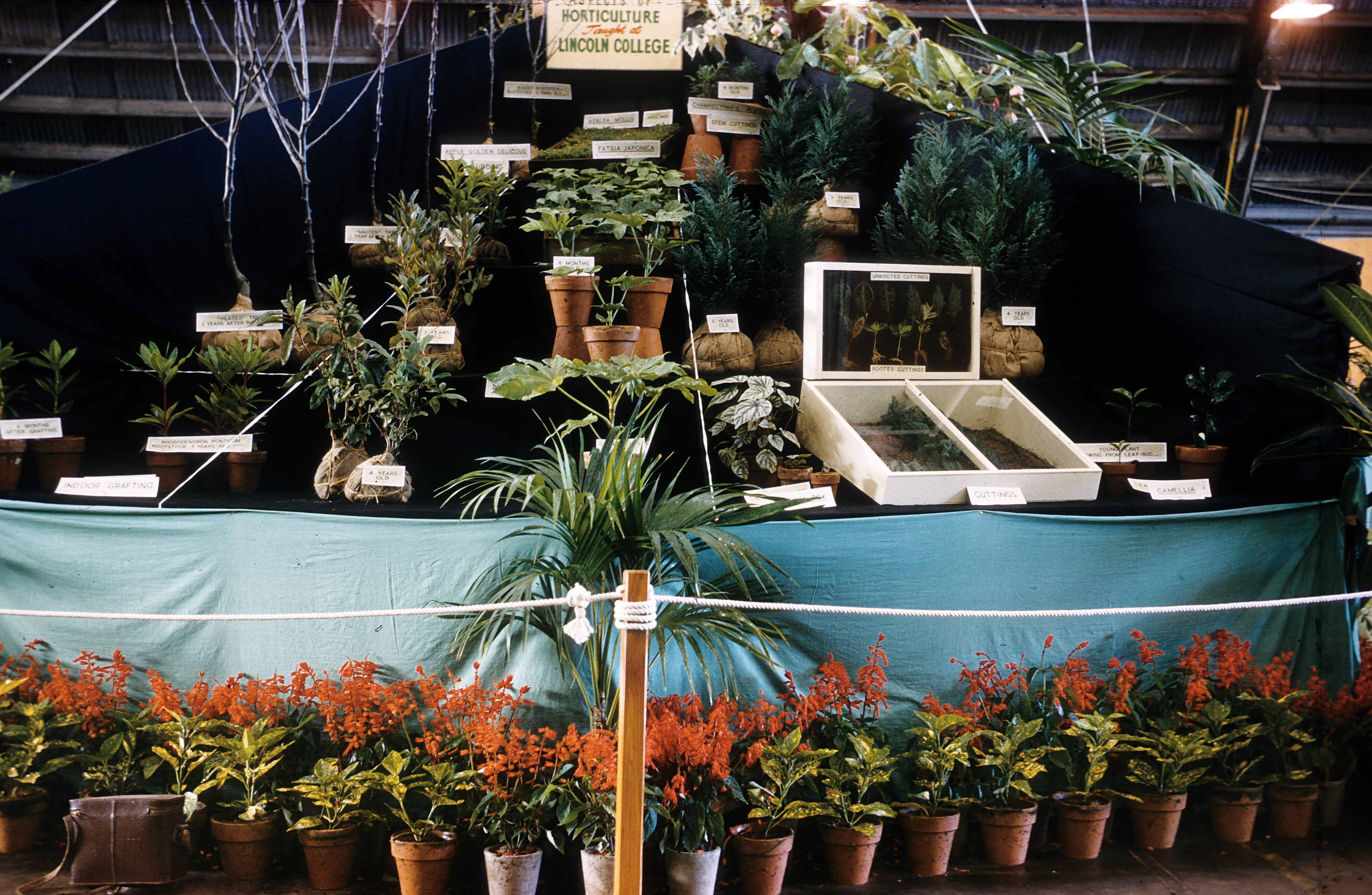 75-S C Challenger Slides-1960