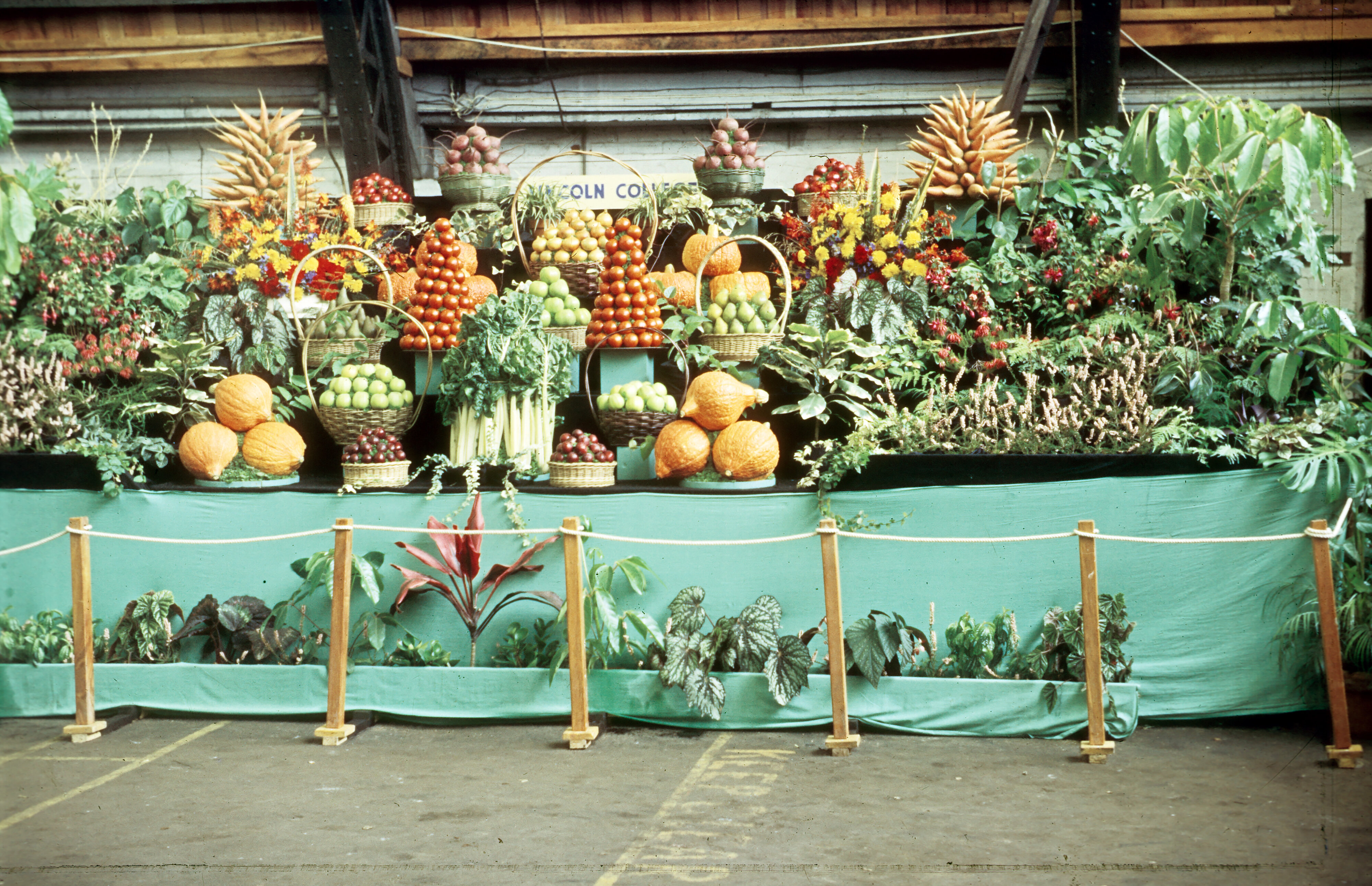 76-S C Challenger Slides-1961