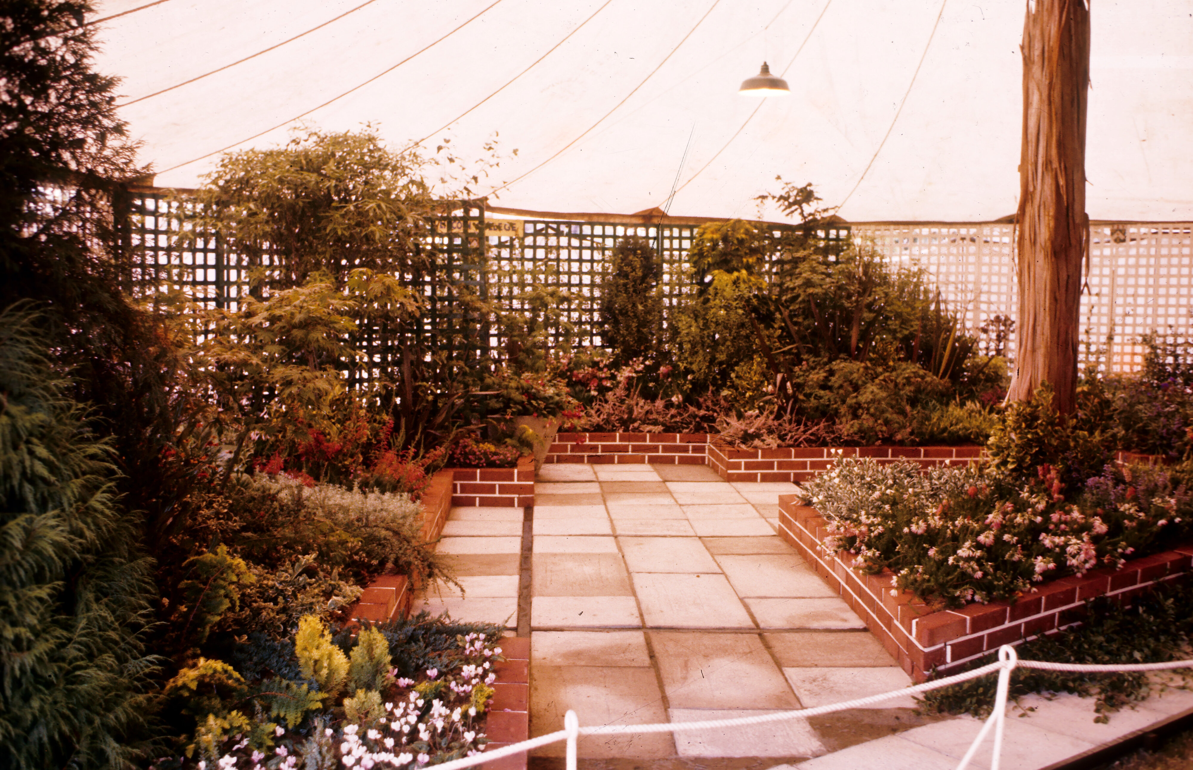 78-S C Challenger Slides-1963