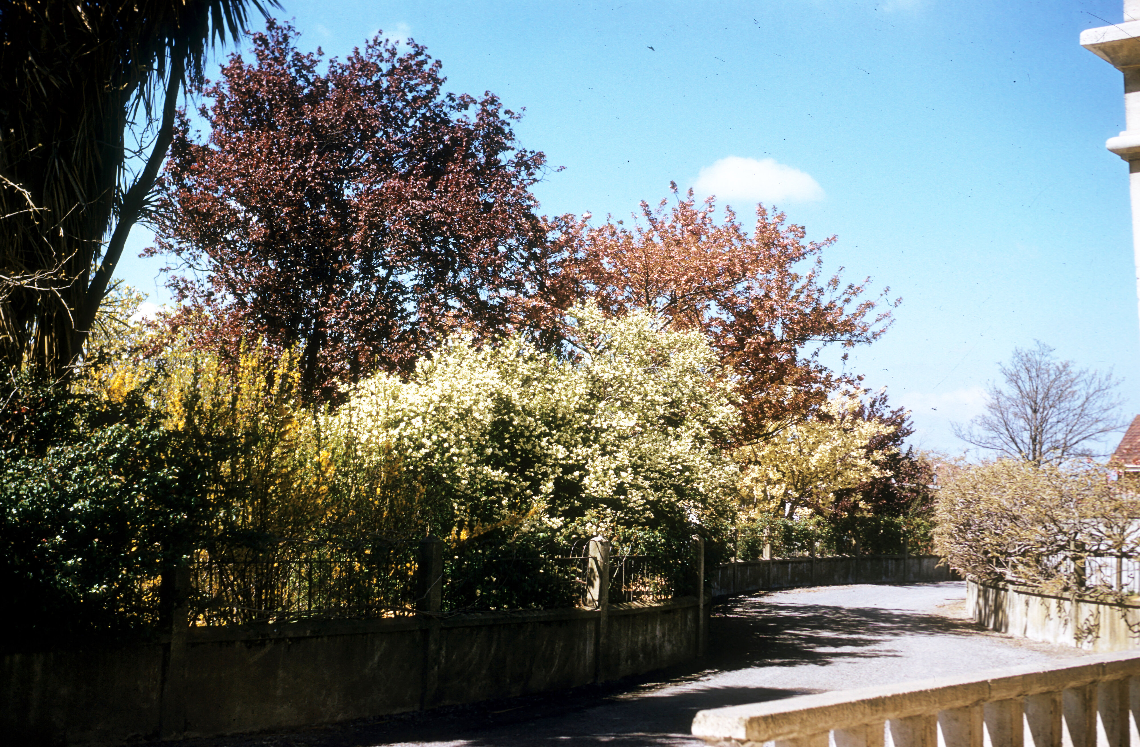 YFC lane from Ivey Hall