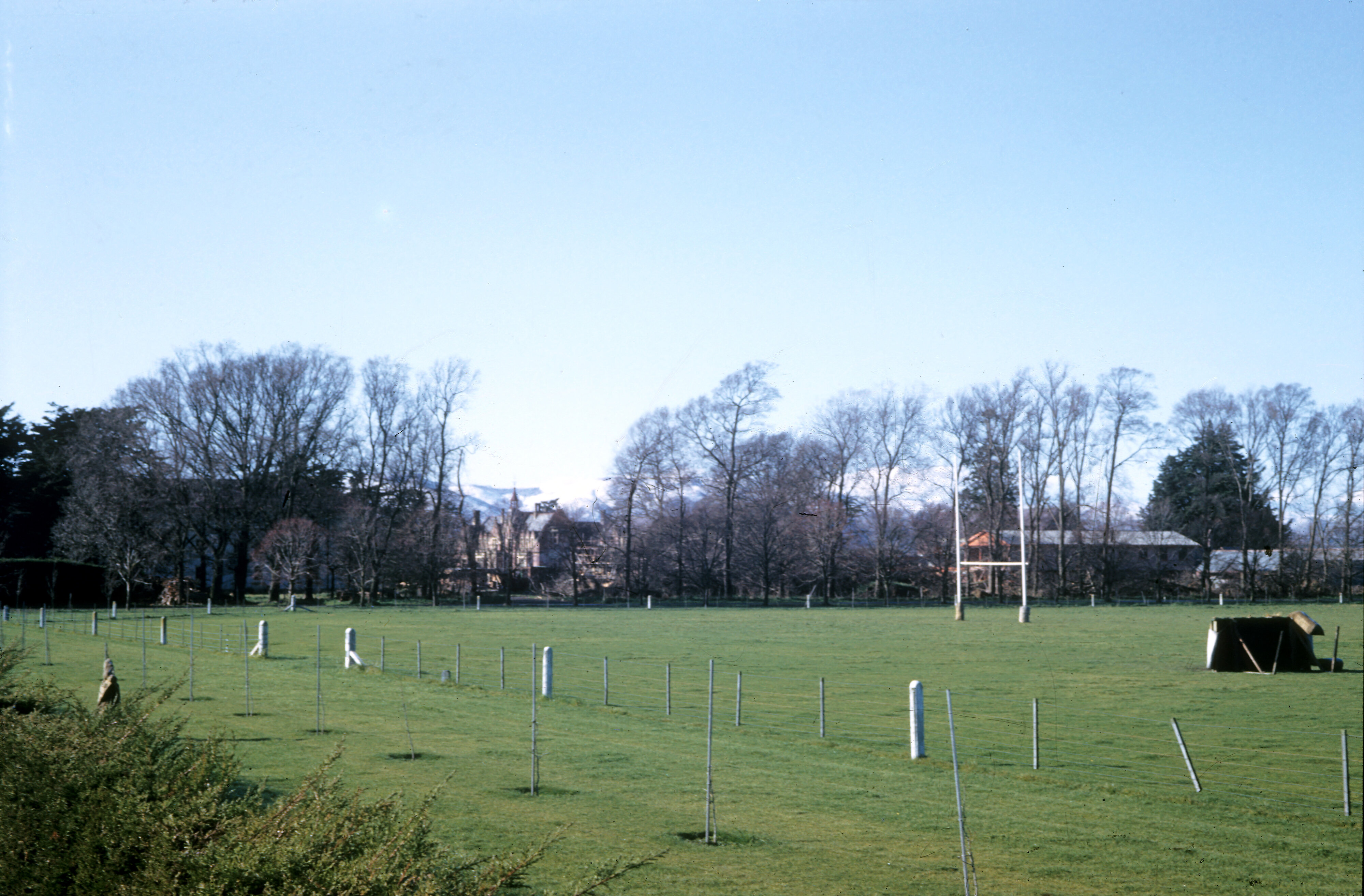 Sports Field at Canterbury Agricultural College, 1954