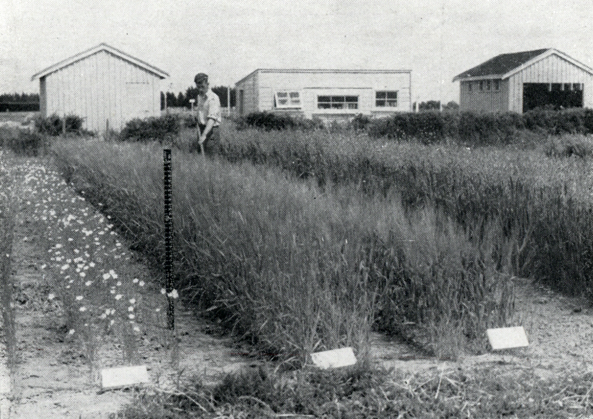 1951 Testing response of crops to soil acidity