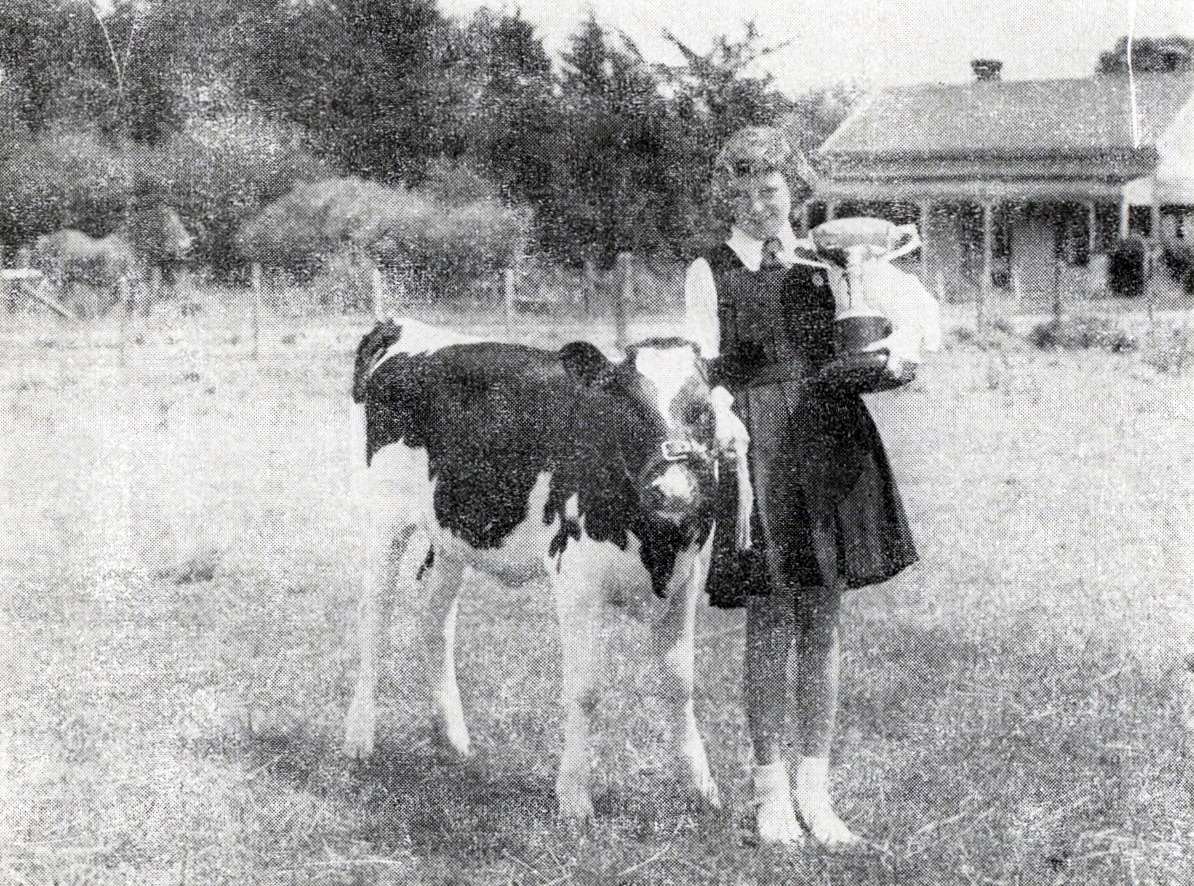 1952 Averil Hartley winner of the 1951 calf-rearing competition
