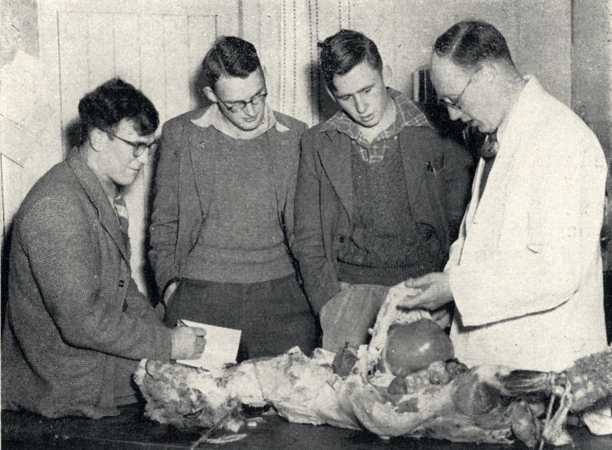 1952 Degree students study the anatomy of the sheep