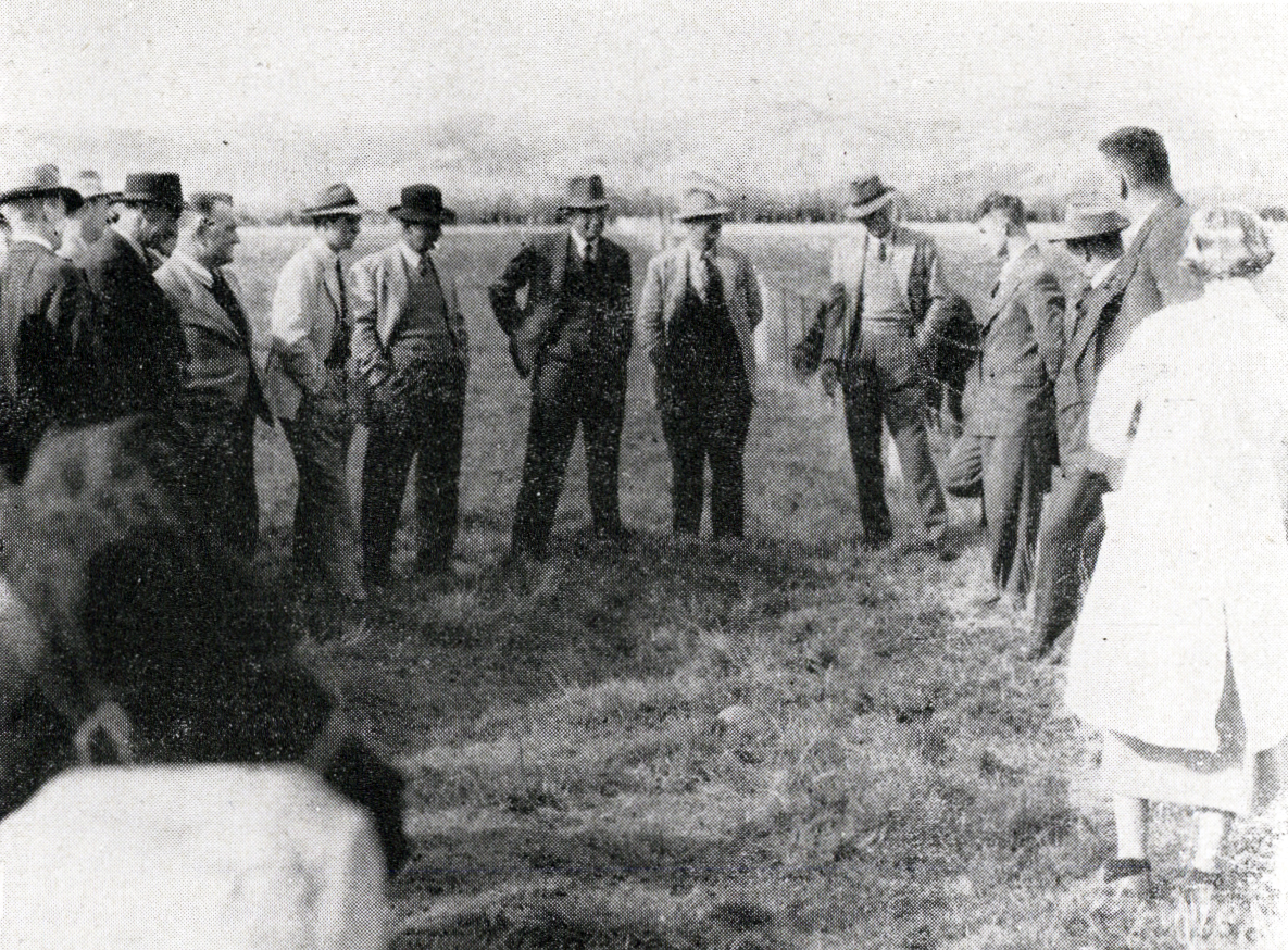 1952 Field day at Lincoln