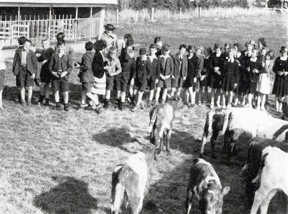 1952 Pupils of Waltham School Christchurch