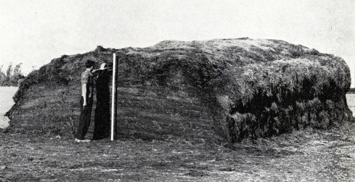 1952 The clamp opened may 1952