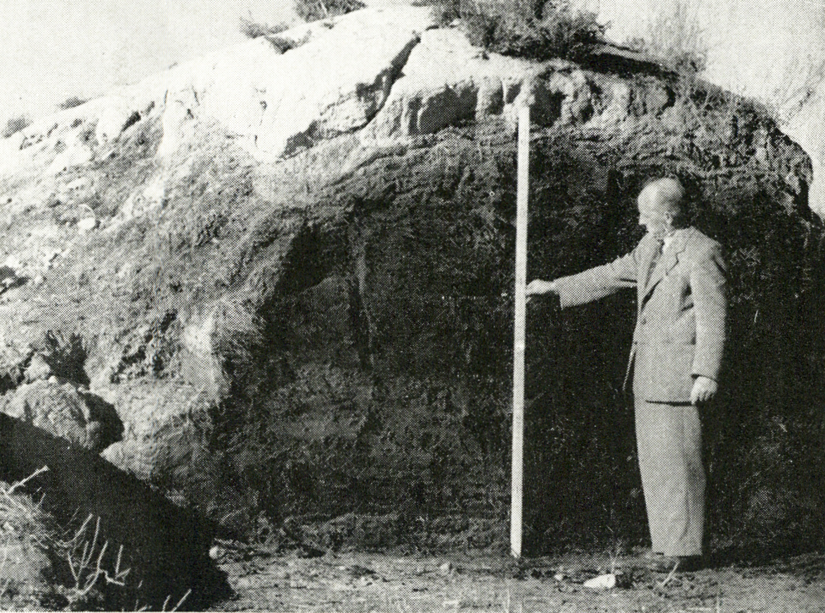1952 The sillage pit filled in October 1950
