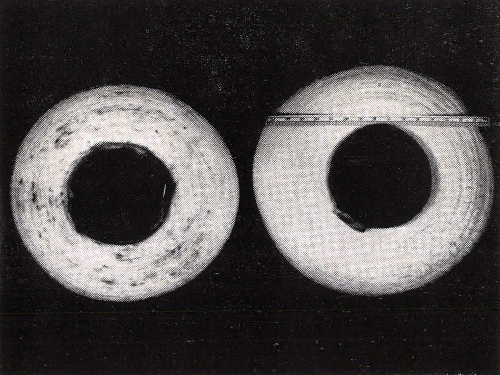 1953 Research on fungus deterioratio of imported cotton yarn