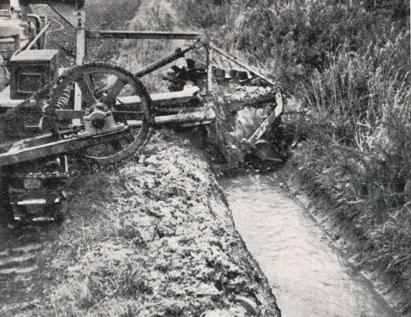 1953 The experimental ditch-cleaning machine at work on a water race