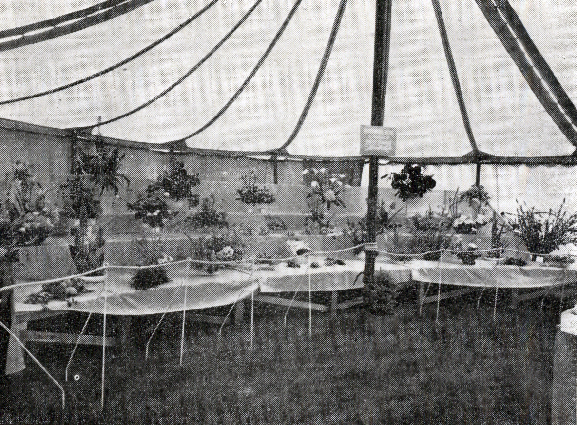 1954 Display of floral art by rural women at the Christchurch Show