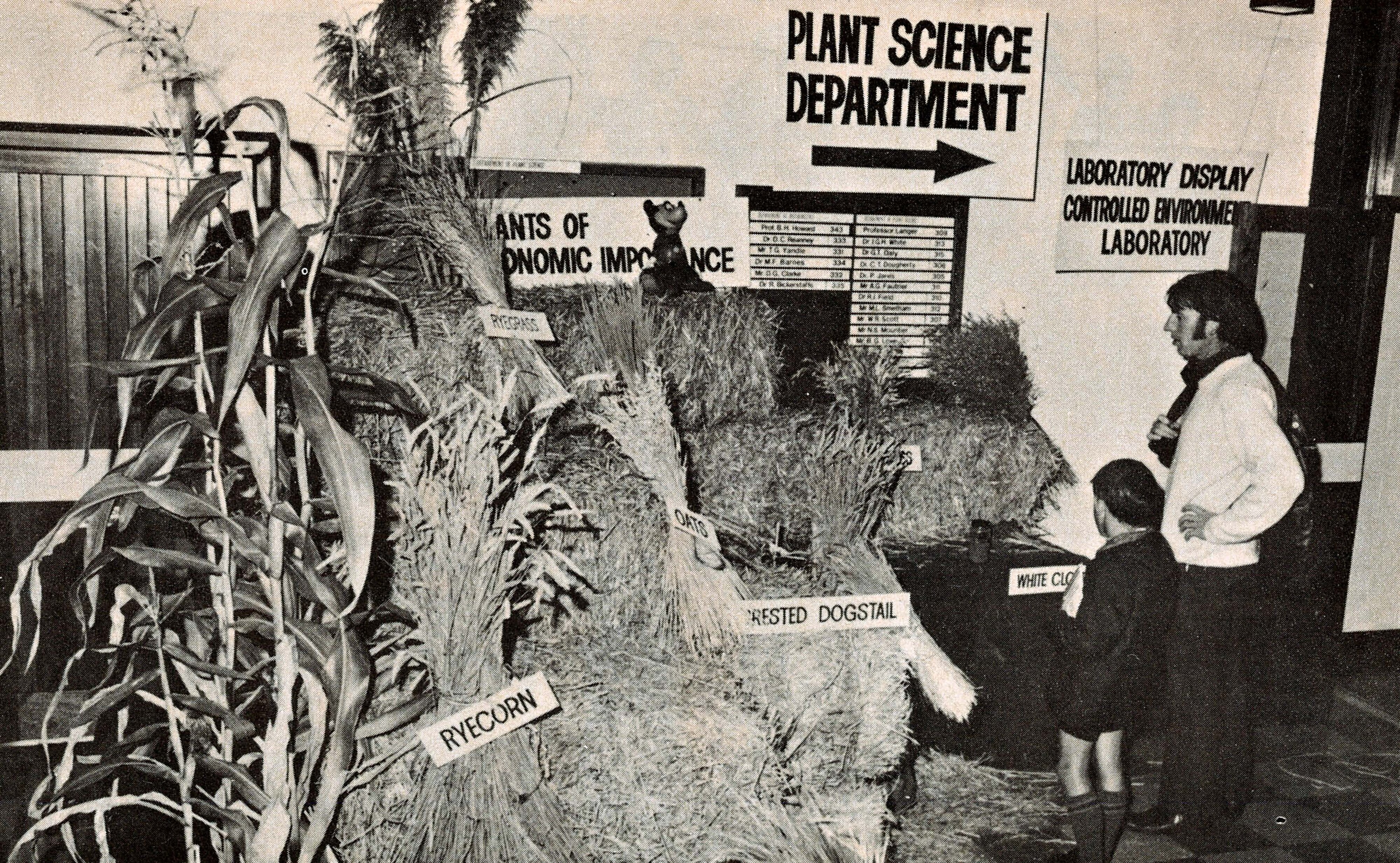 1974 Agronomy demonstration for open day