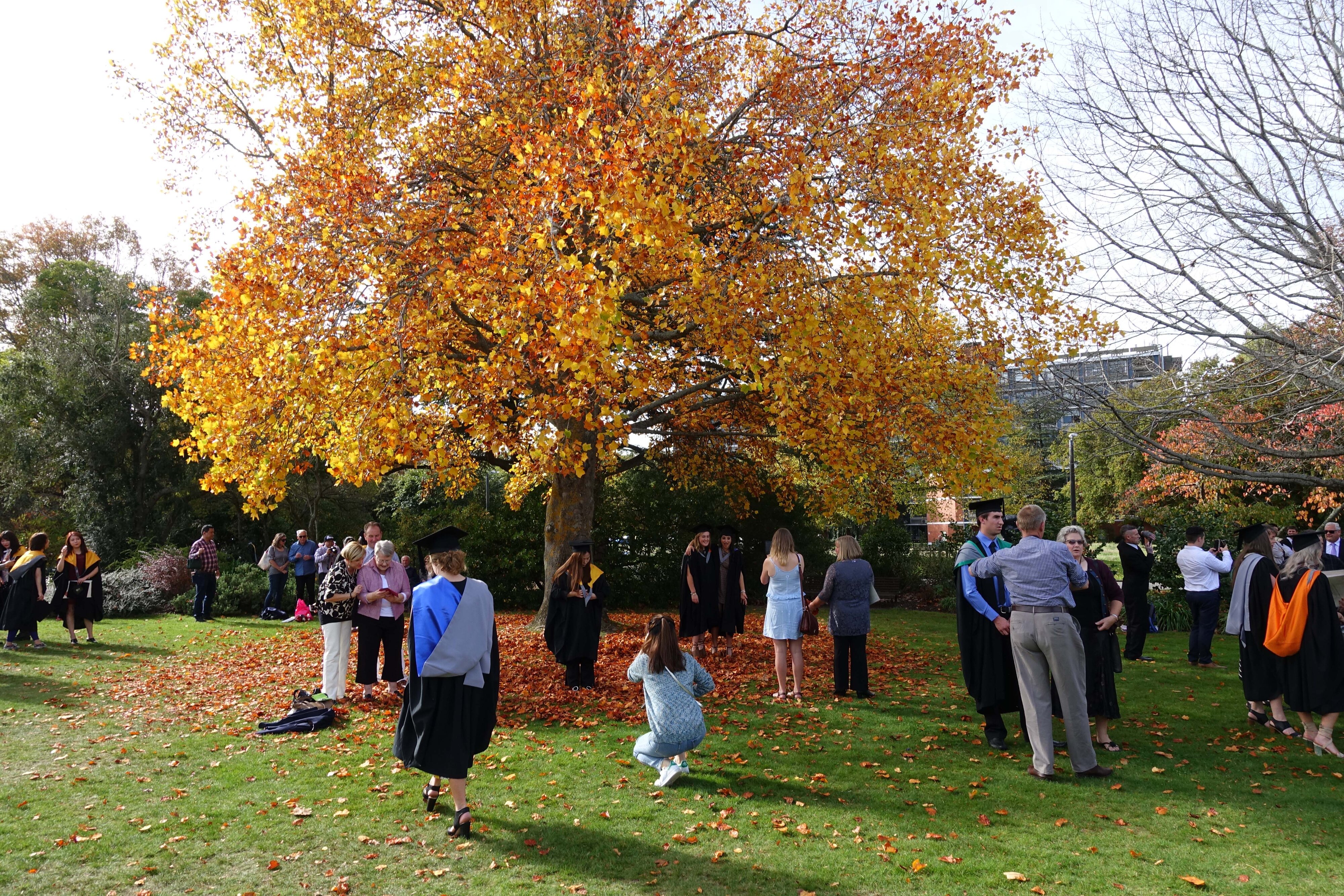 2017 Lincoln University Graduation Afternoon Ceremony 017