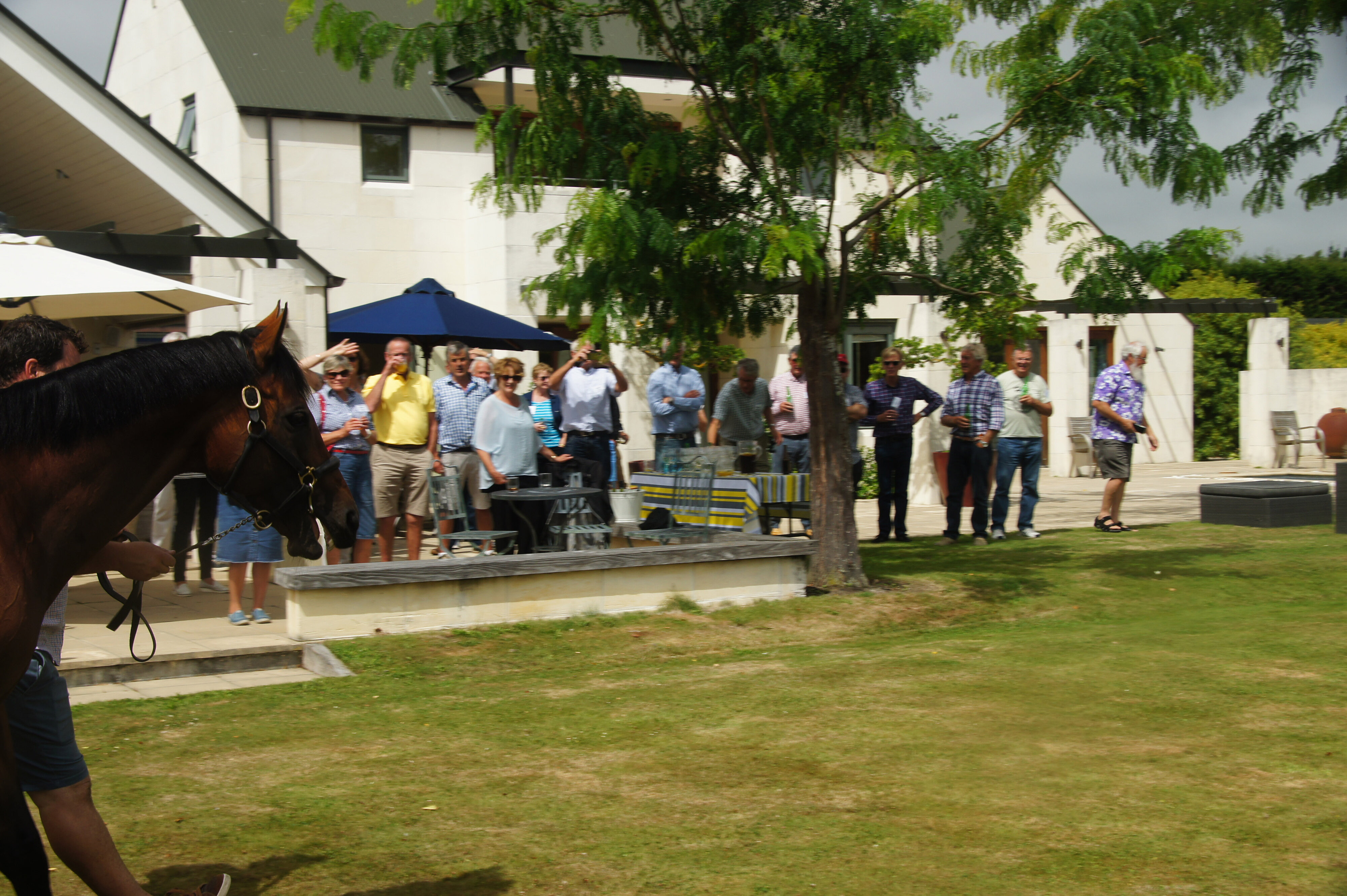 2017 Reunion DipAgSci 1967 215