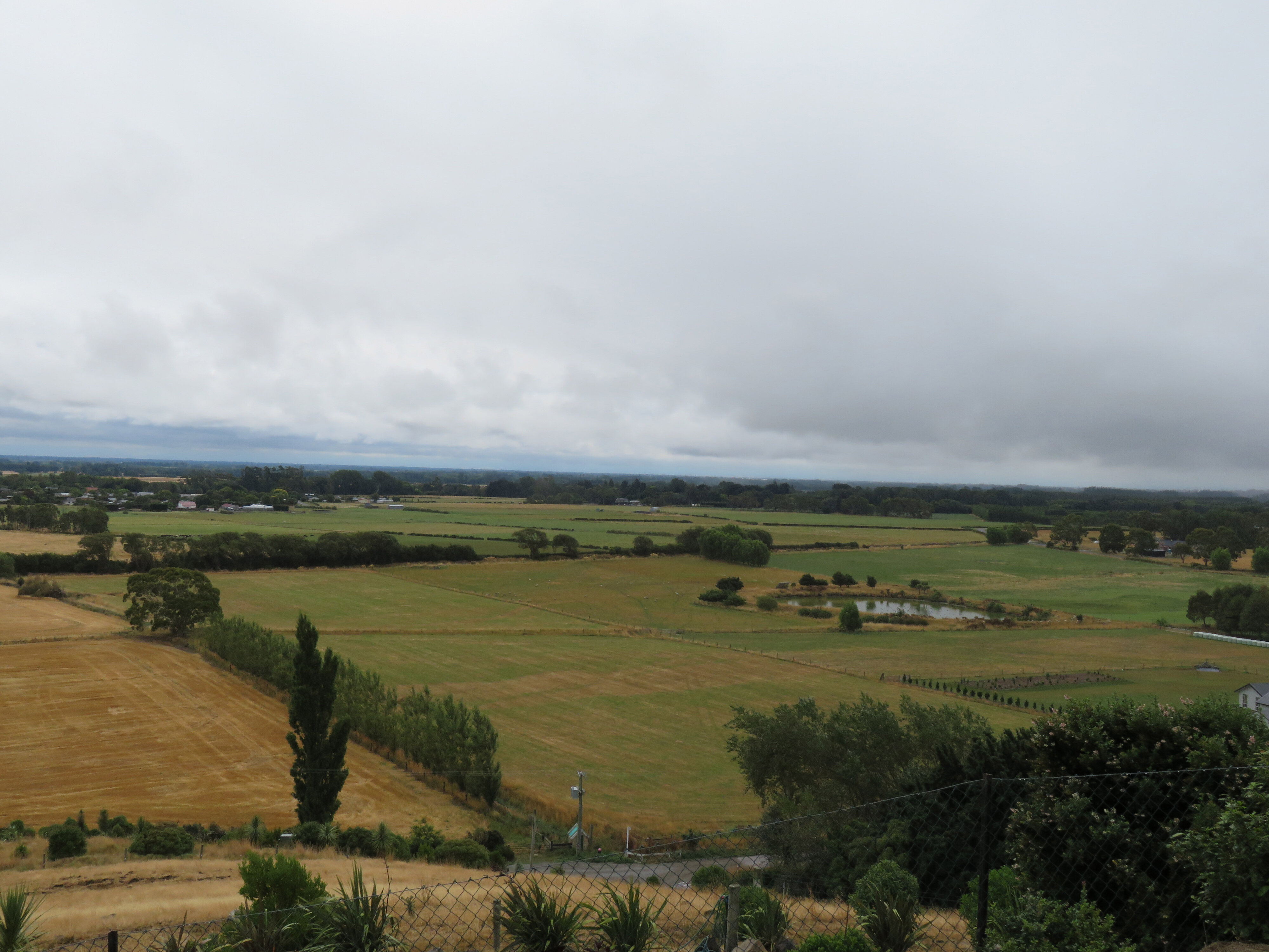 2017 Reunion DipAgSci 1967 297