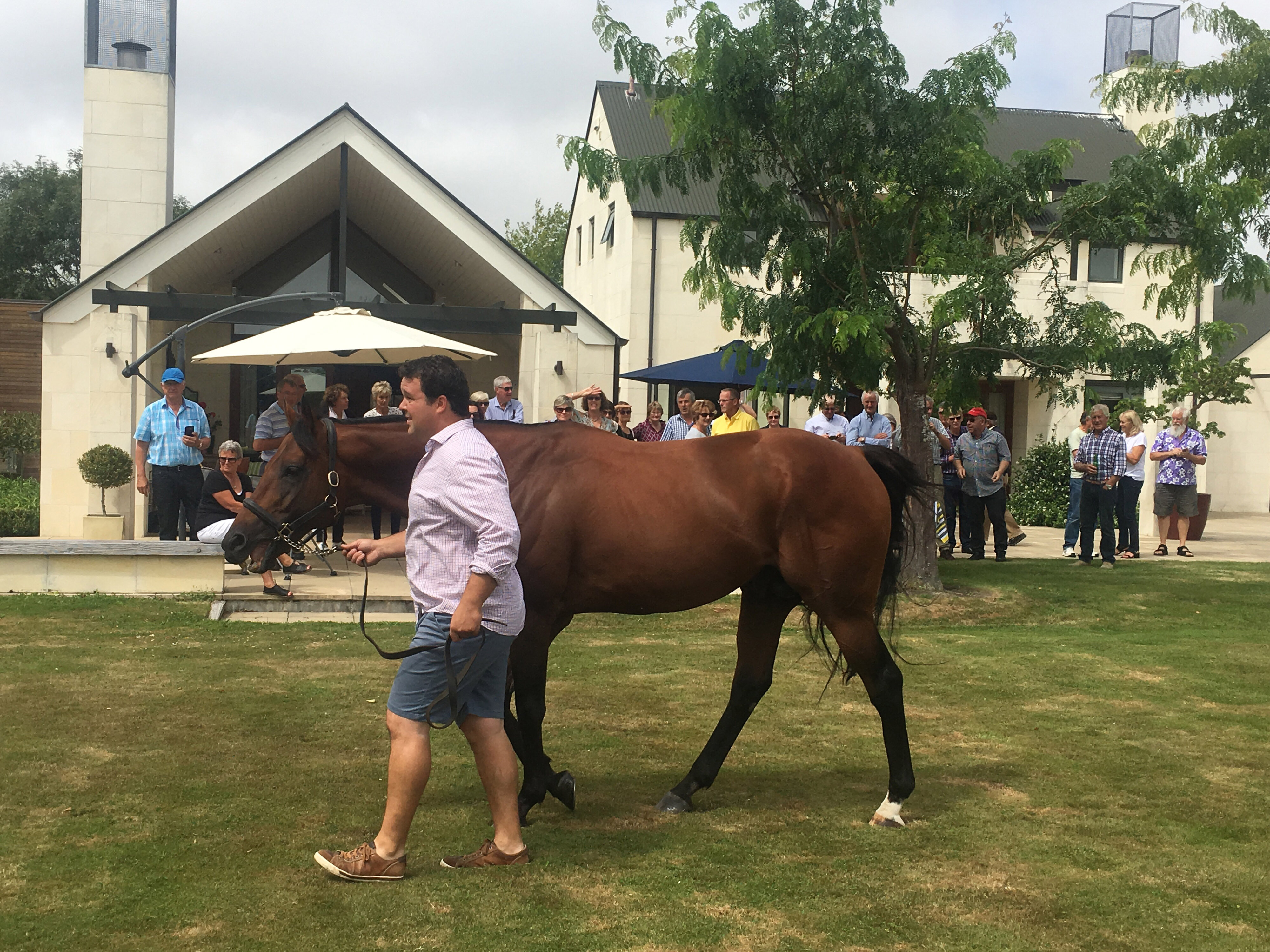 2017 Reunion DipAgSci 1967 332