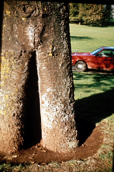 Cavity at ground level