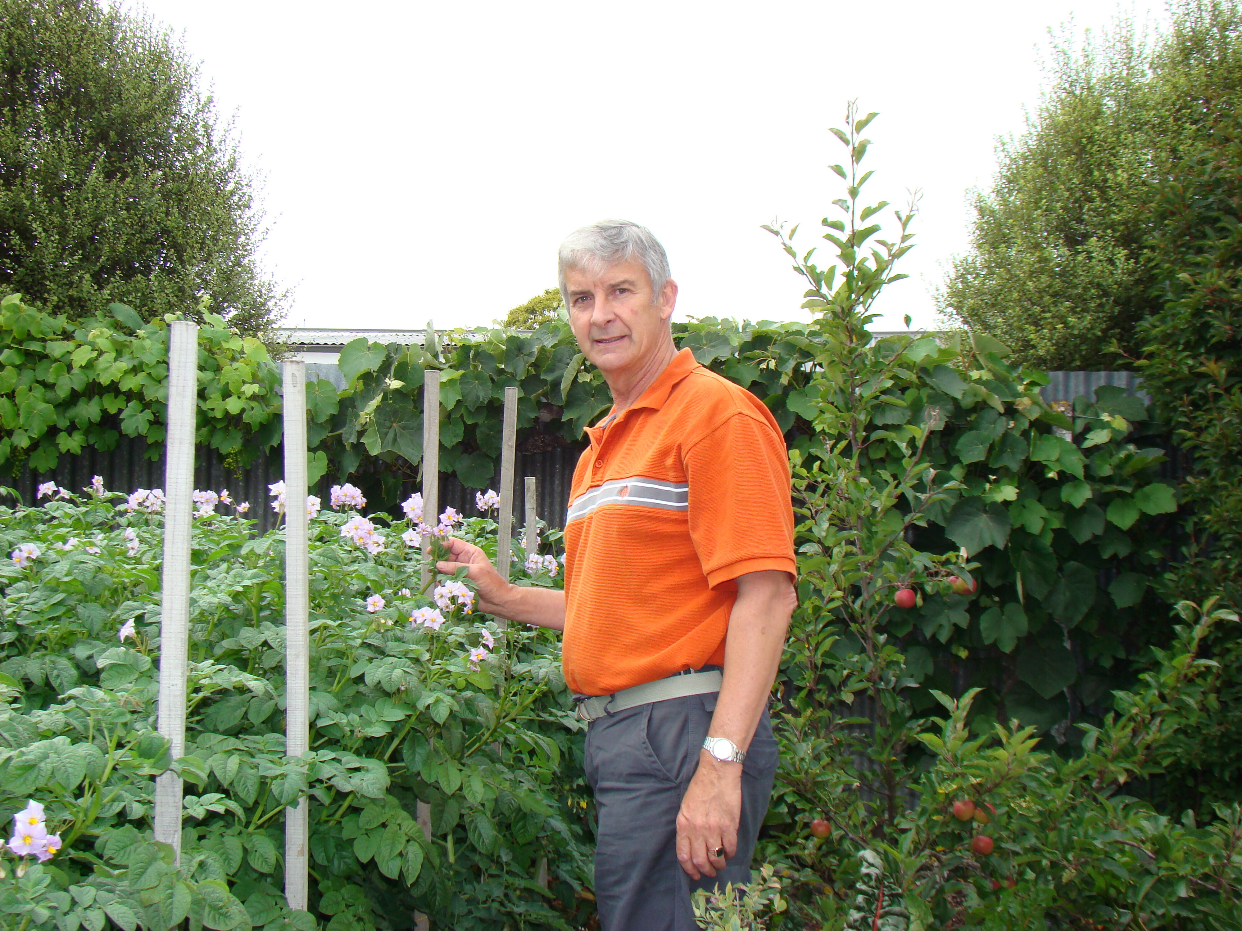 Potato Moonlight and Roy Edwards