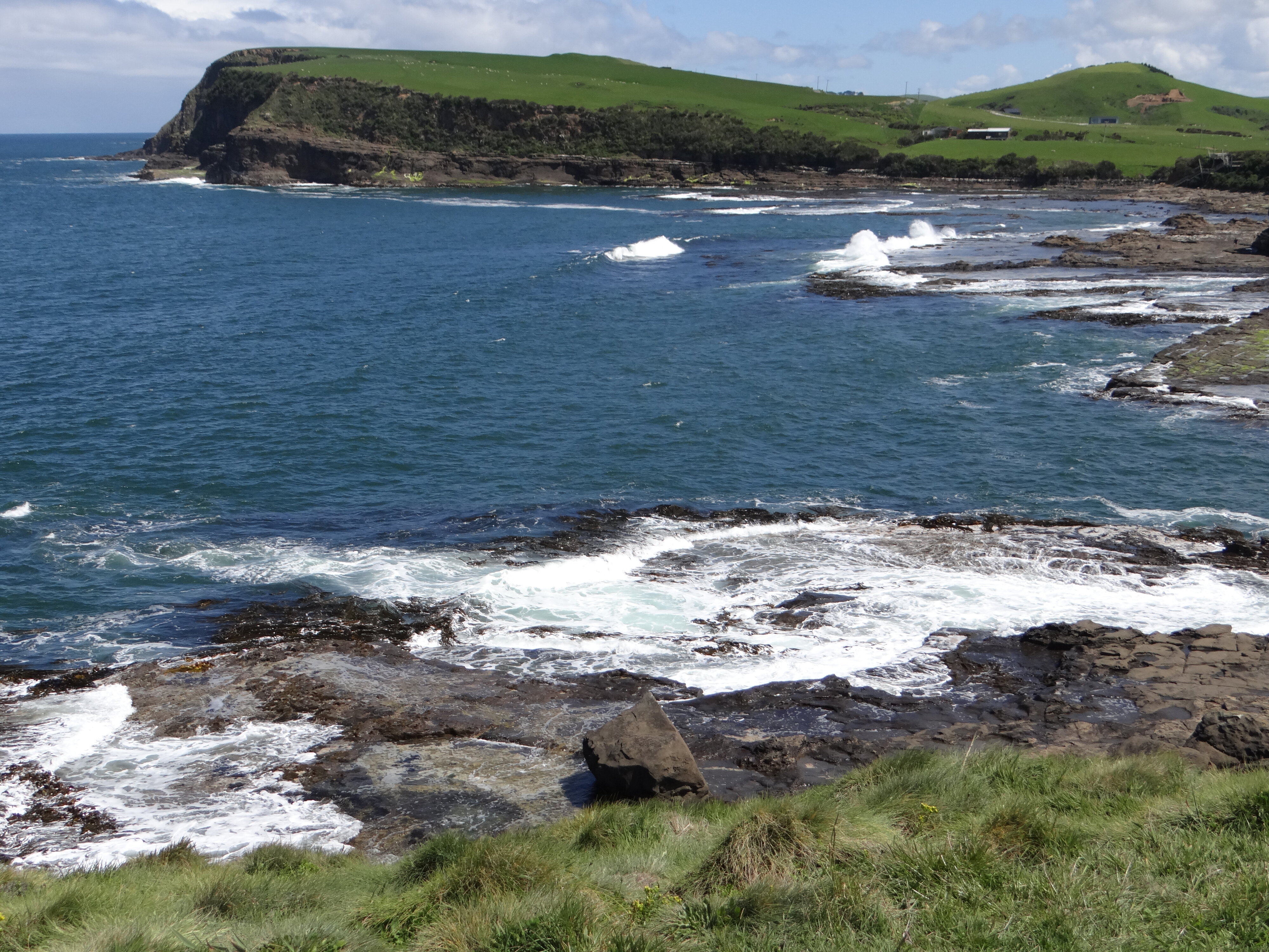Curio Bay Catlins facing south 2