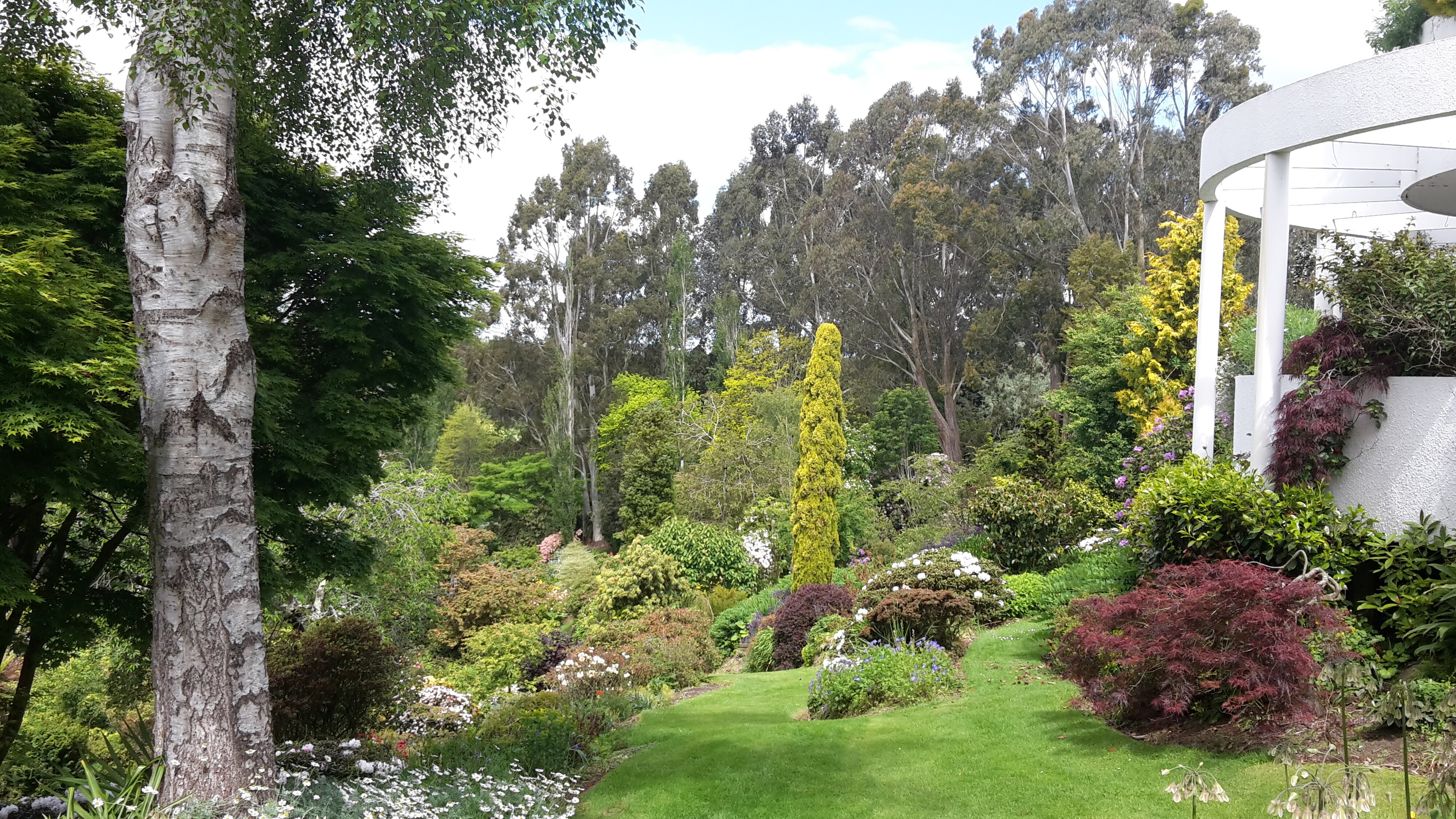 Maple Glen Gardens 02